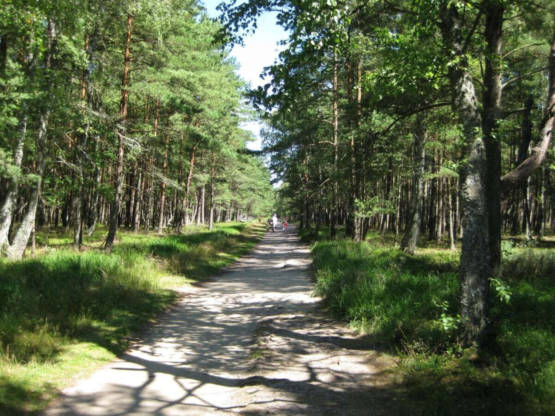 Knus vakantiehuis voor 8 op 300m van strand in Dzwirzyno - foto 17