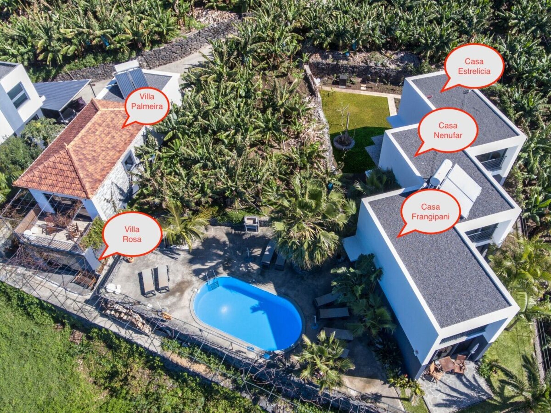 Casa Nenufar: moderne designbungalow met tuinterras in Arco da Calheta - foto 1