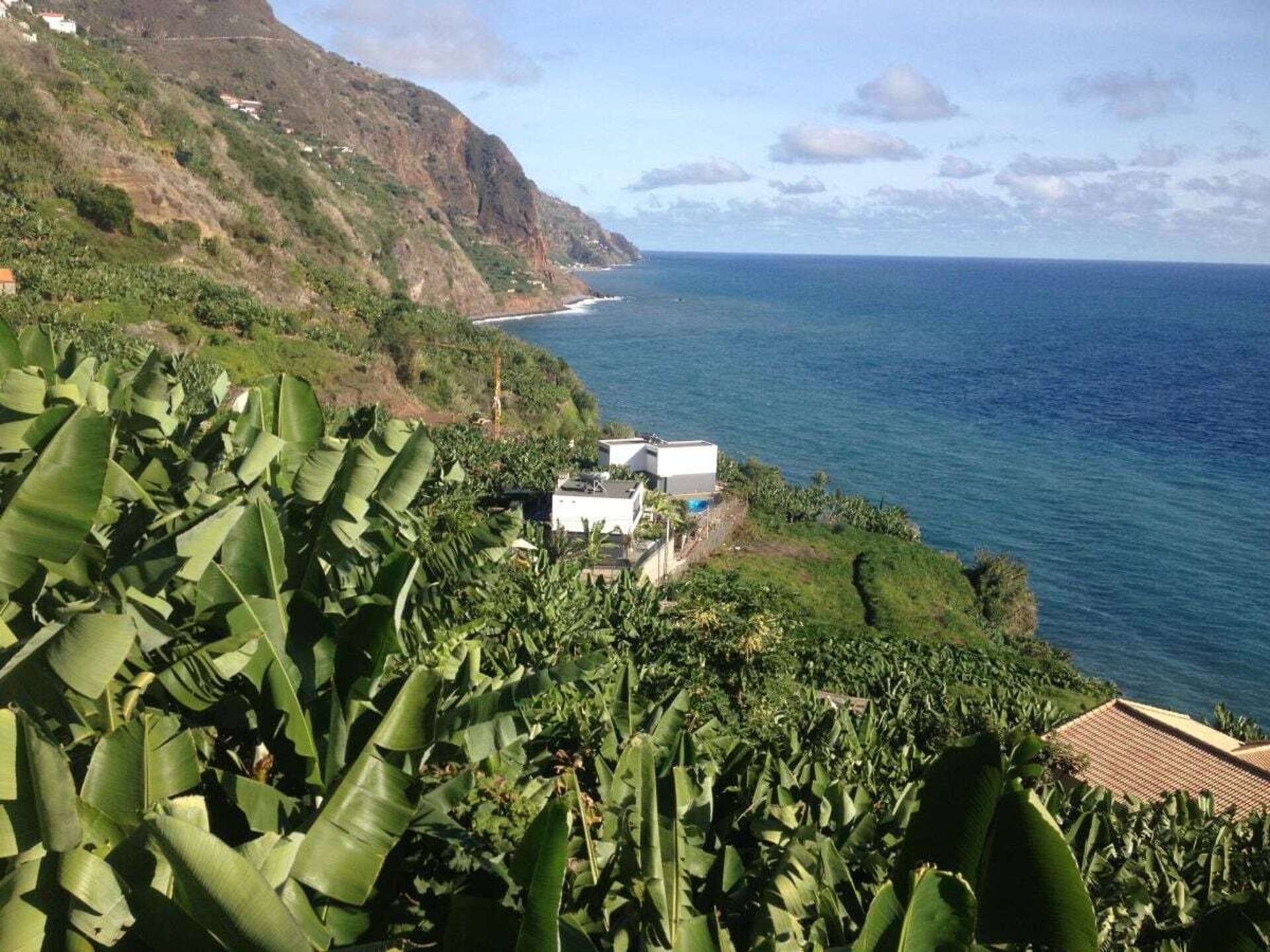 Casa Nenufar: moderne designbungalow met tuinterras in Arco da Calheta - foto 3