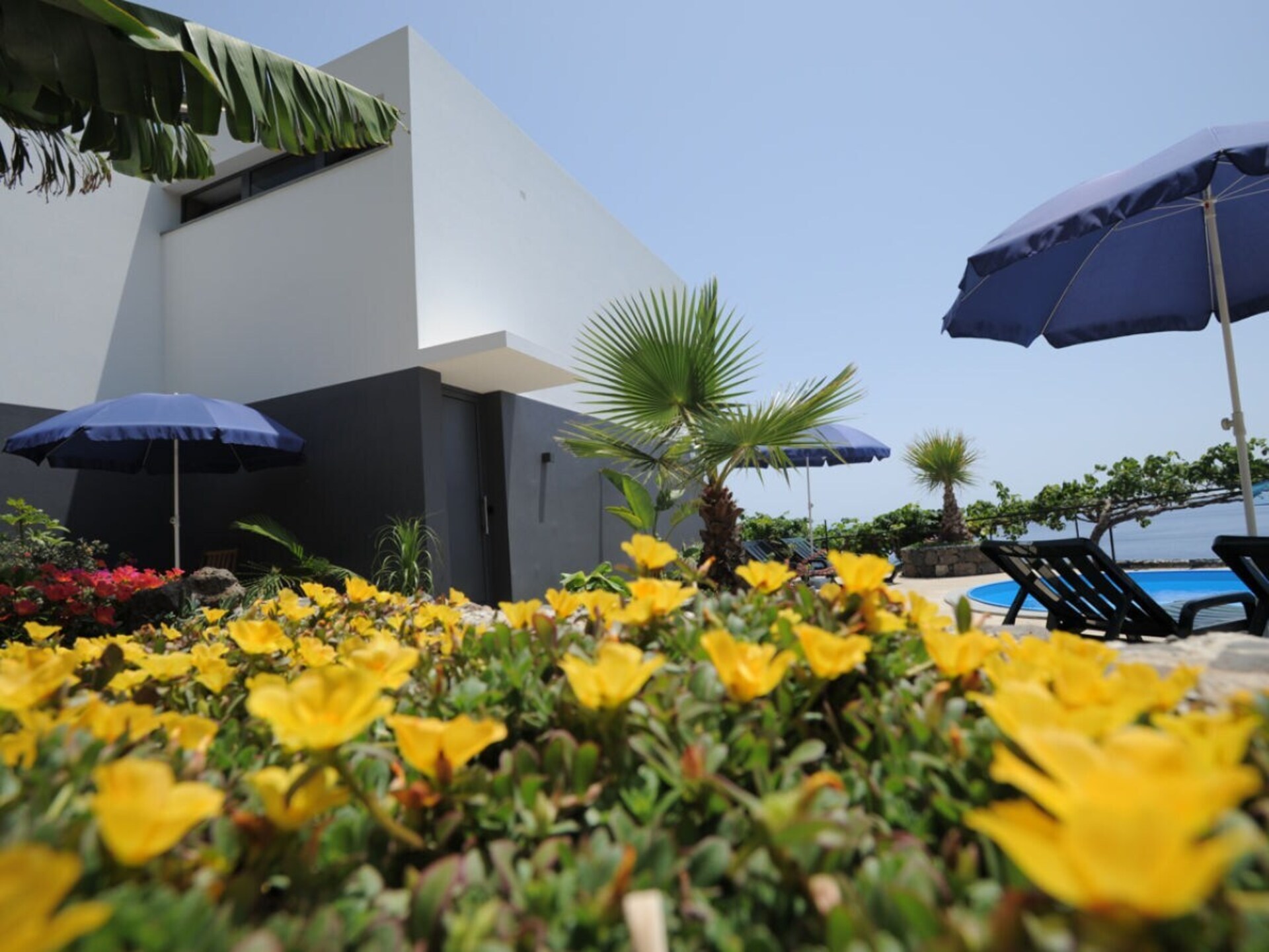 Casa Nenufar: moderne designbungalow met tuinterras in Arco da Calheta - foto 5