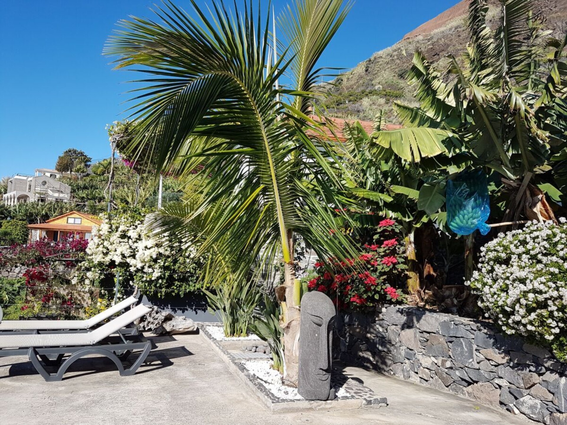 Casa Nenufar: moderne designbungalow met tuinterras in Arco da Calheta - foto 10
