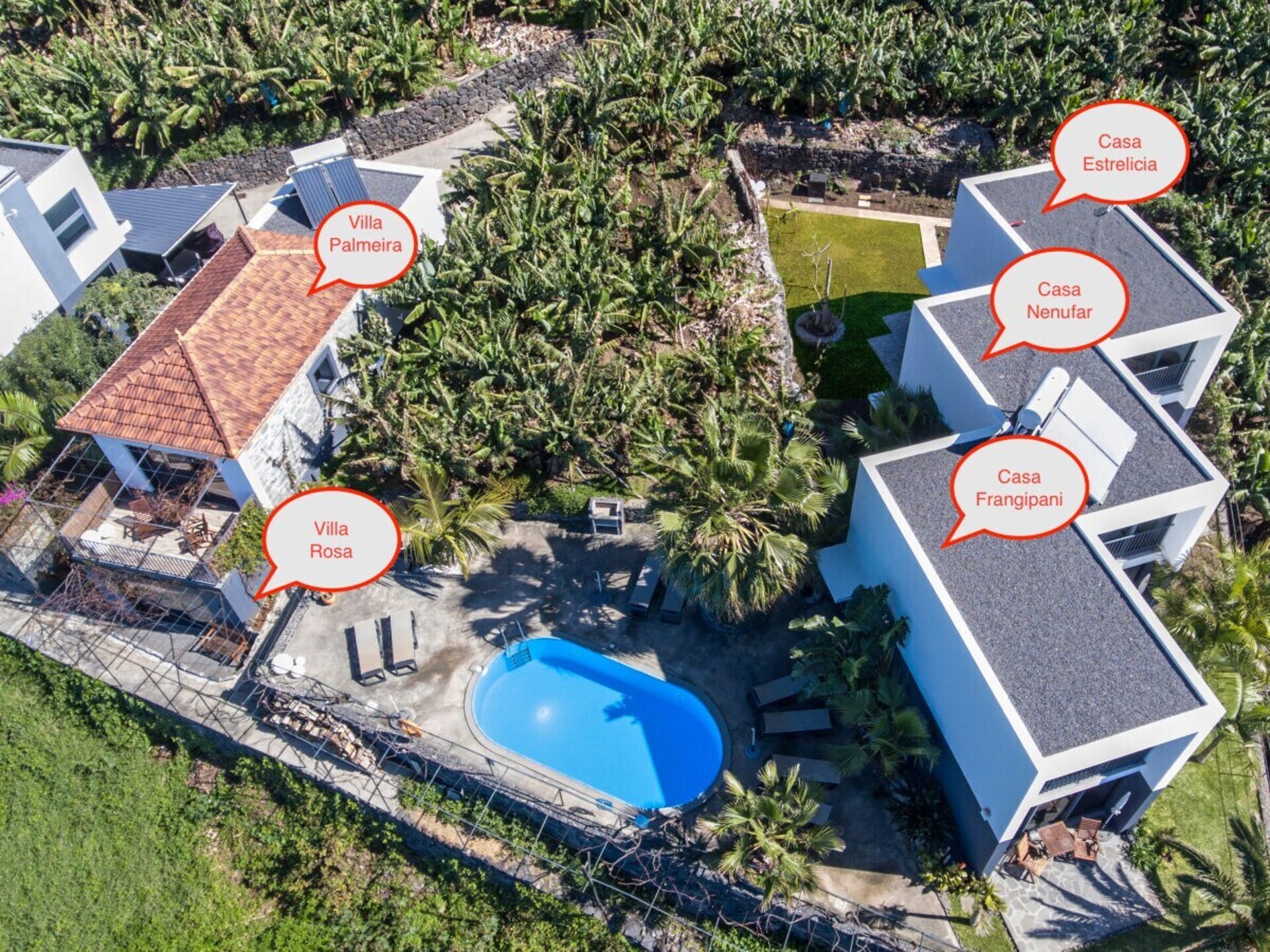 Stijlvol appartement met privé binnenplaats in Arco da Calheta - foto 1