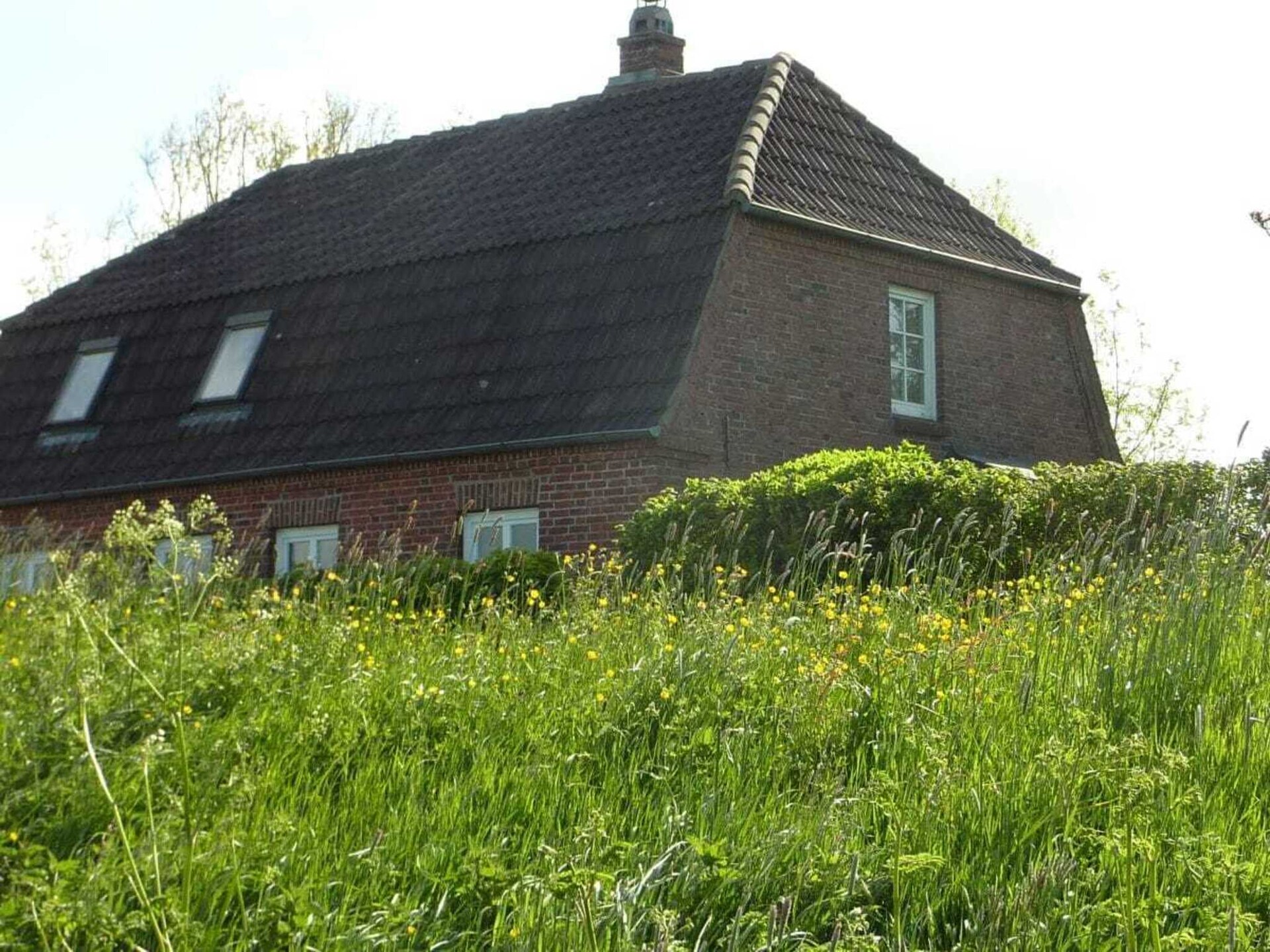 Huus Heini: Ruim vakantiehuis op Nordstrand met weids uitzicht over de weilanden - foto 1