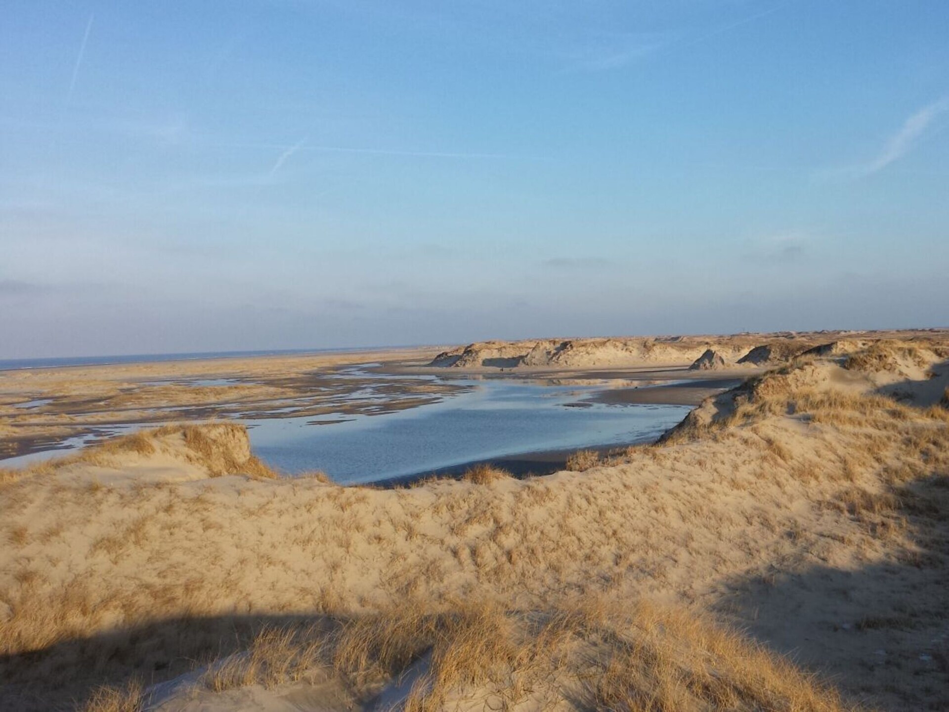 Dünennest 3: Knus appartement voor 3 op Norderney met zonnig terras - foto 14