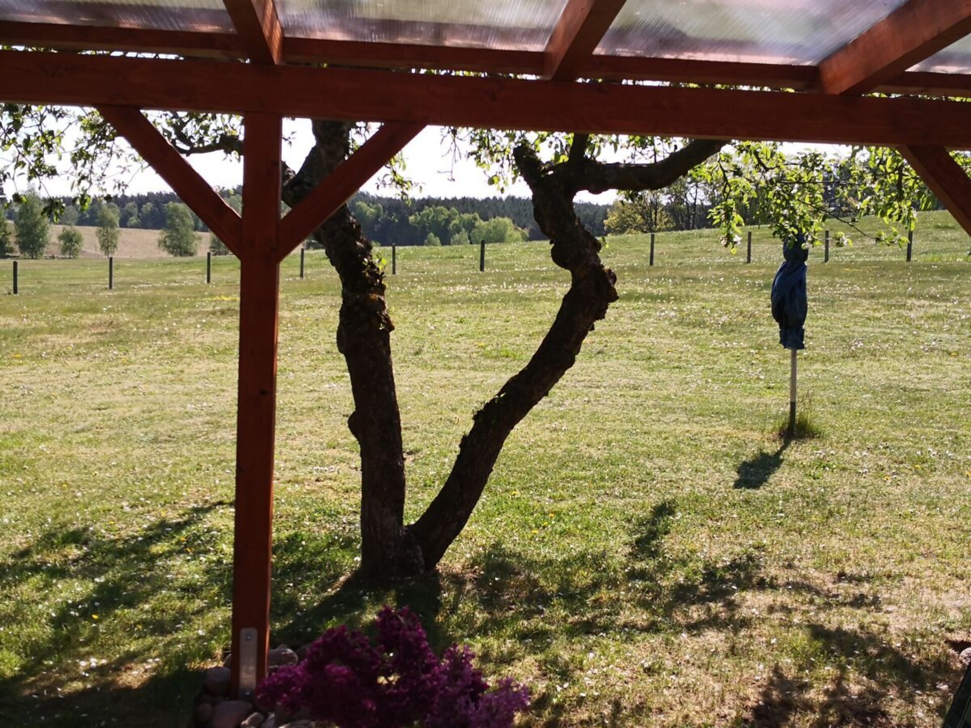 Rustiek vakantiehuis bij het Plaumeer met grote tuin in Zislow - foto 4