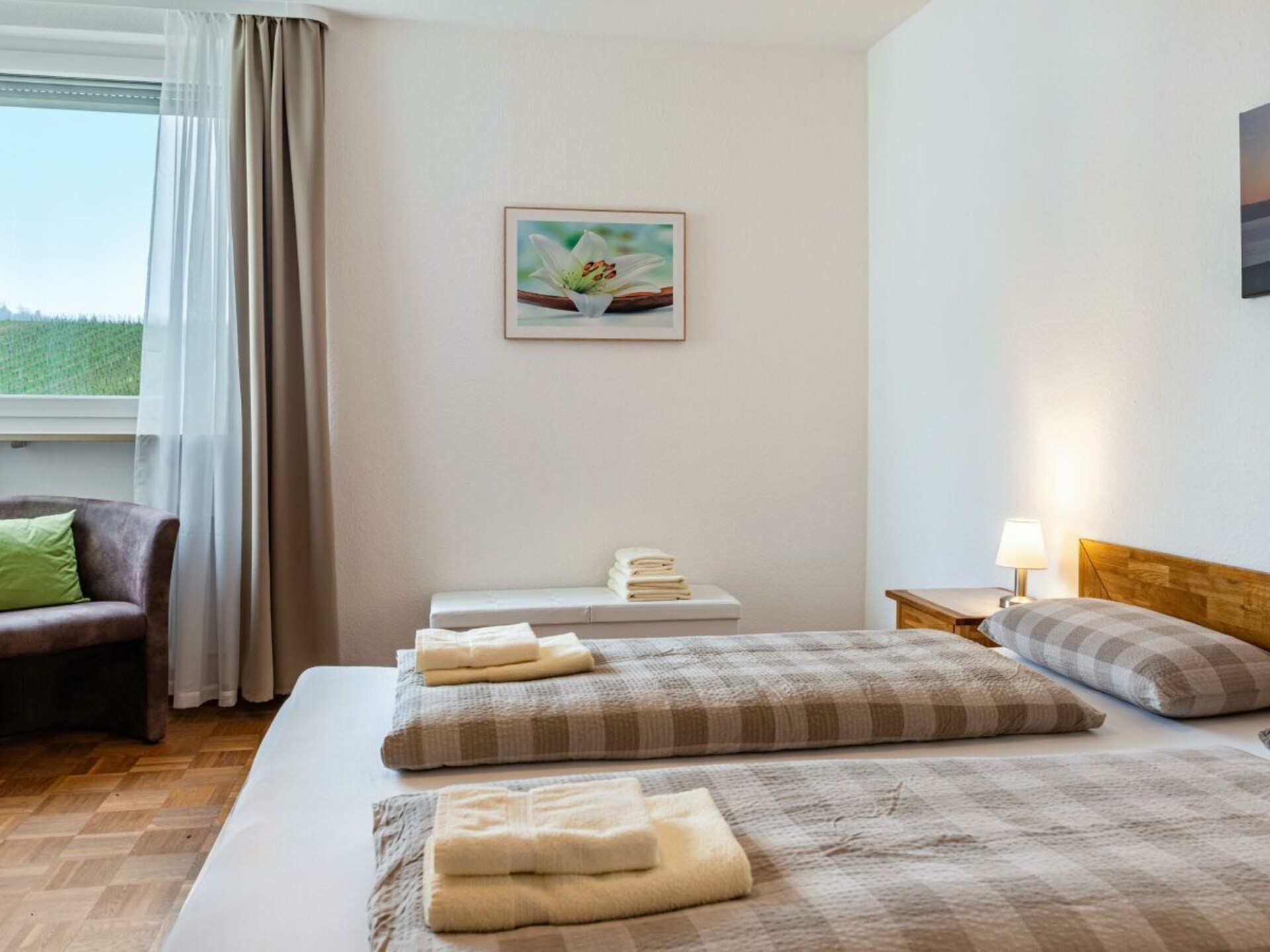 Appartement met Alpenpanorama op loopafstand van het Bodenmeer - foto 15