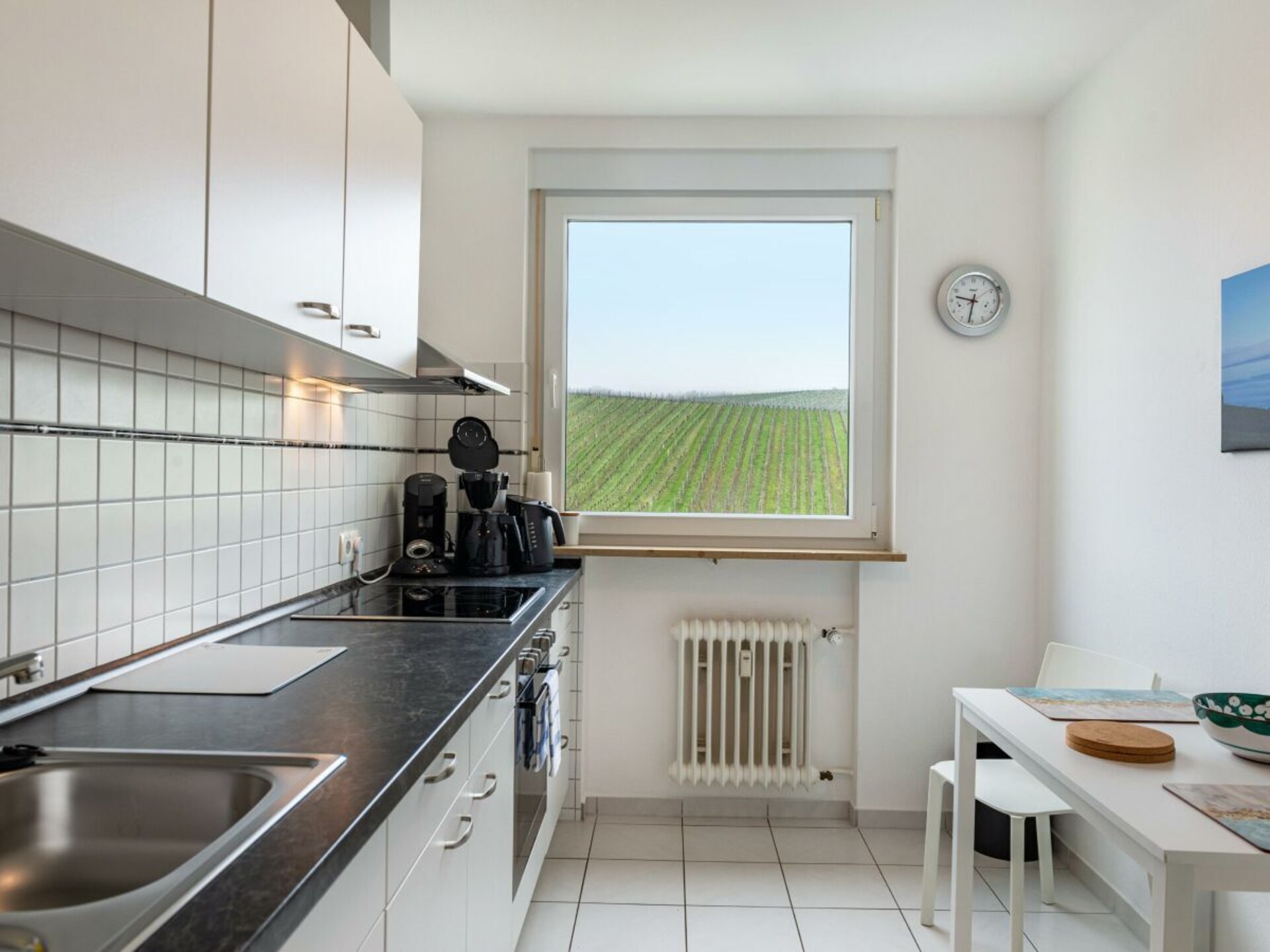 Appartement met Alpenpanorama op loopafstand van het Bodenmeer - foto 19