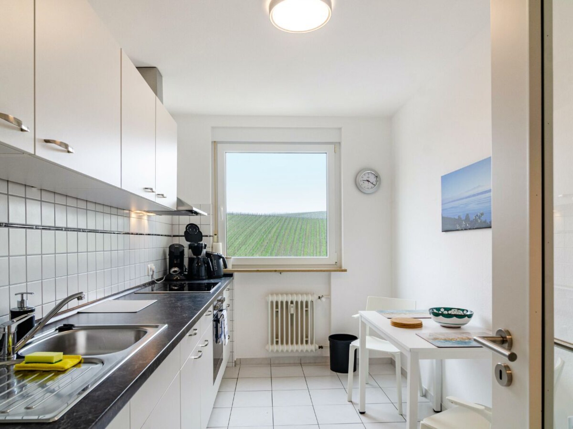 Appartement met Alpenpanorama op loopafstand van het Bodenmeer - foto 21