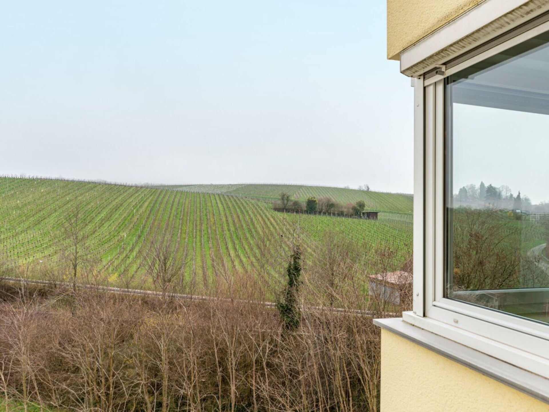Appartement met Alpenpanorama op loopafstand van het Bodenmeer - foto 29