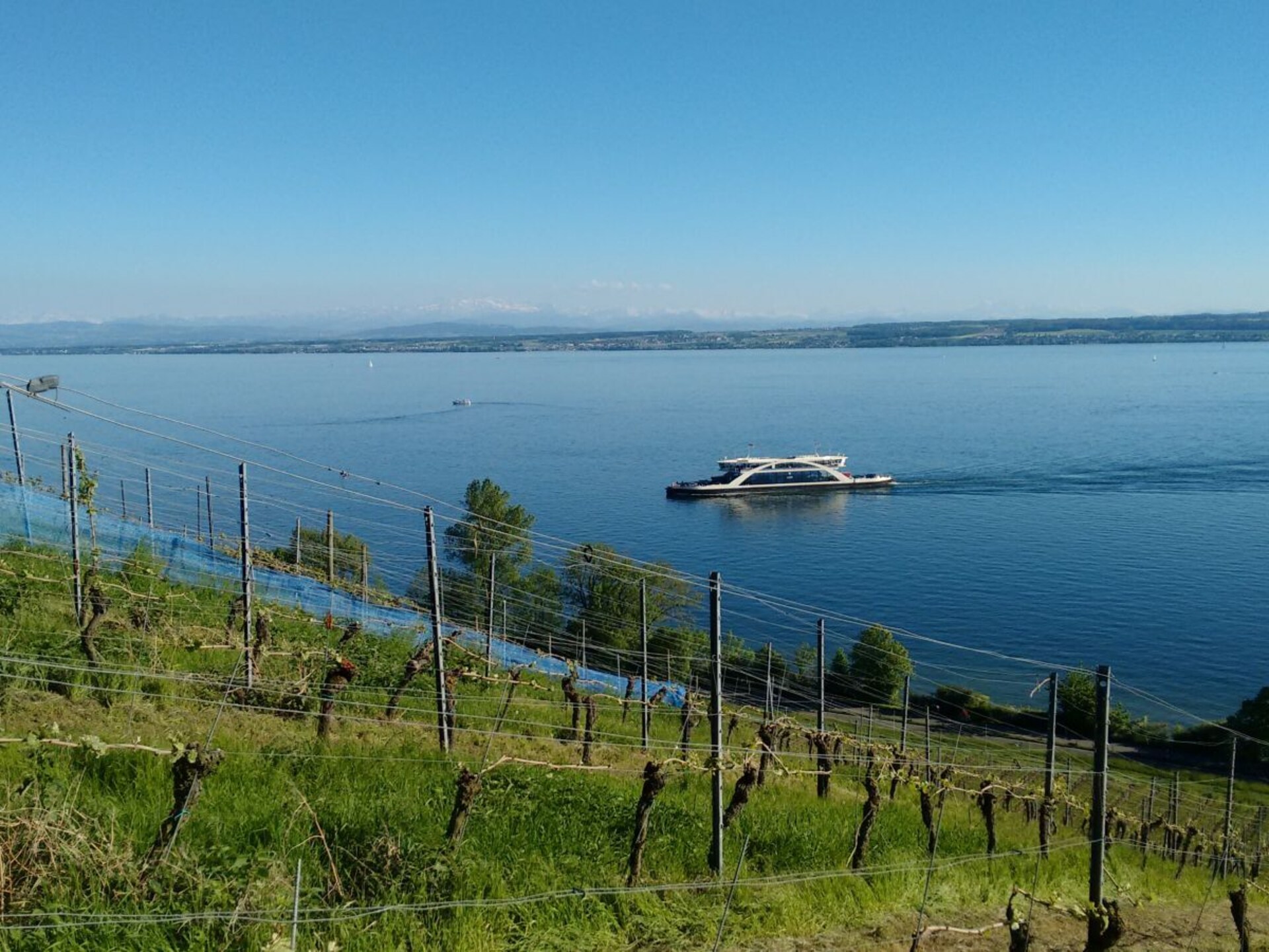Appartement met Alpenpanorama op loopafstand van het Bodenmeer - foto 34