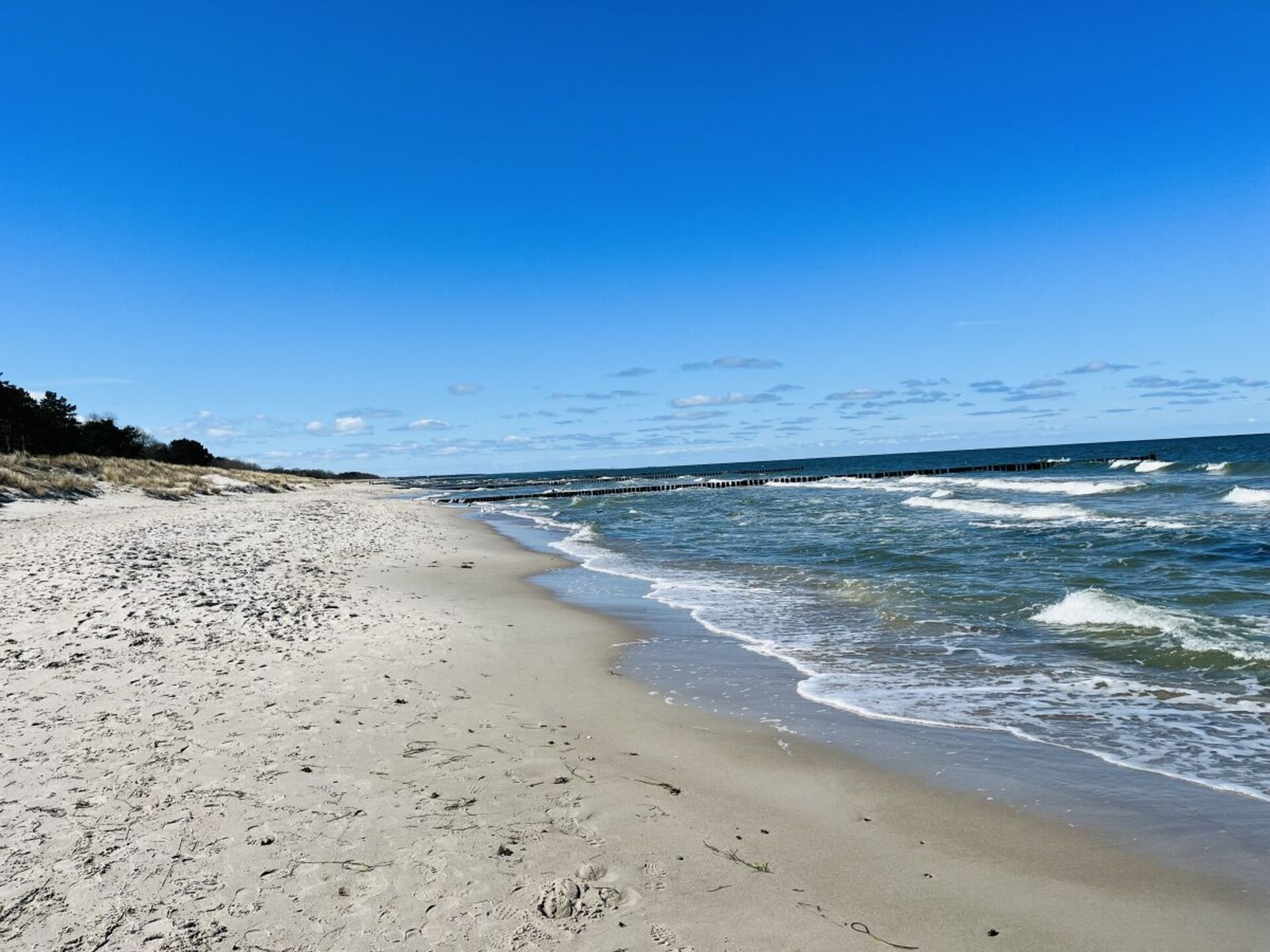 Modern appartement bij het strand met terras en open haard in Zingst - foto 3