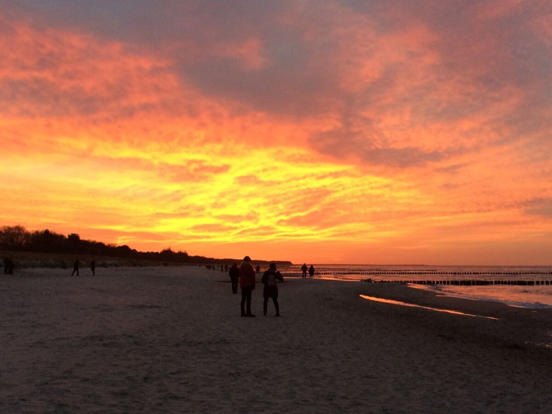 Modern appartement bij het strand met terras en open haard in Zingst - foto 5