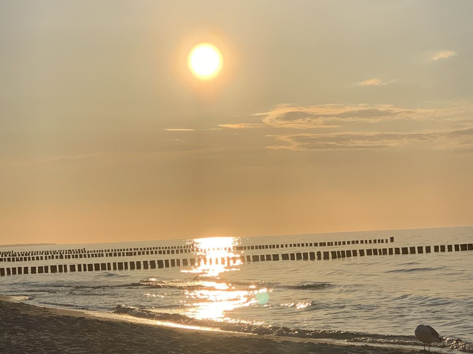 Modern appartement bij het strand met terras en open haard in Zingst - foto 6