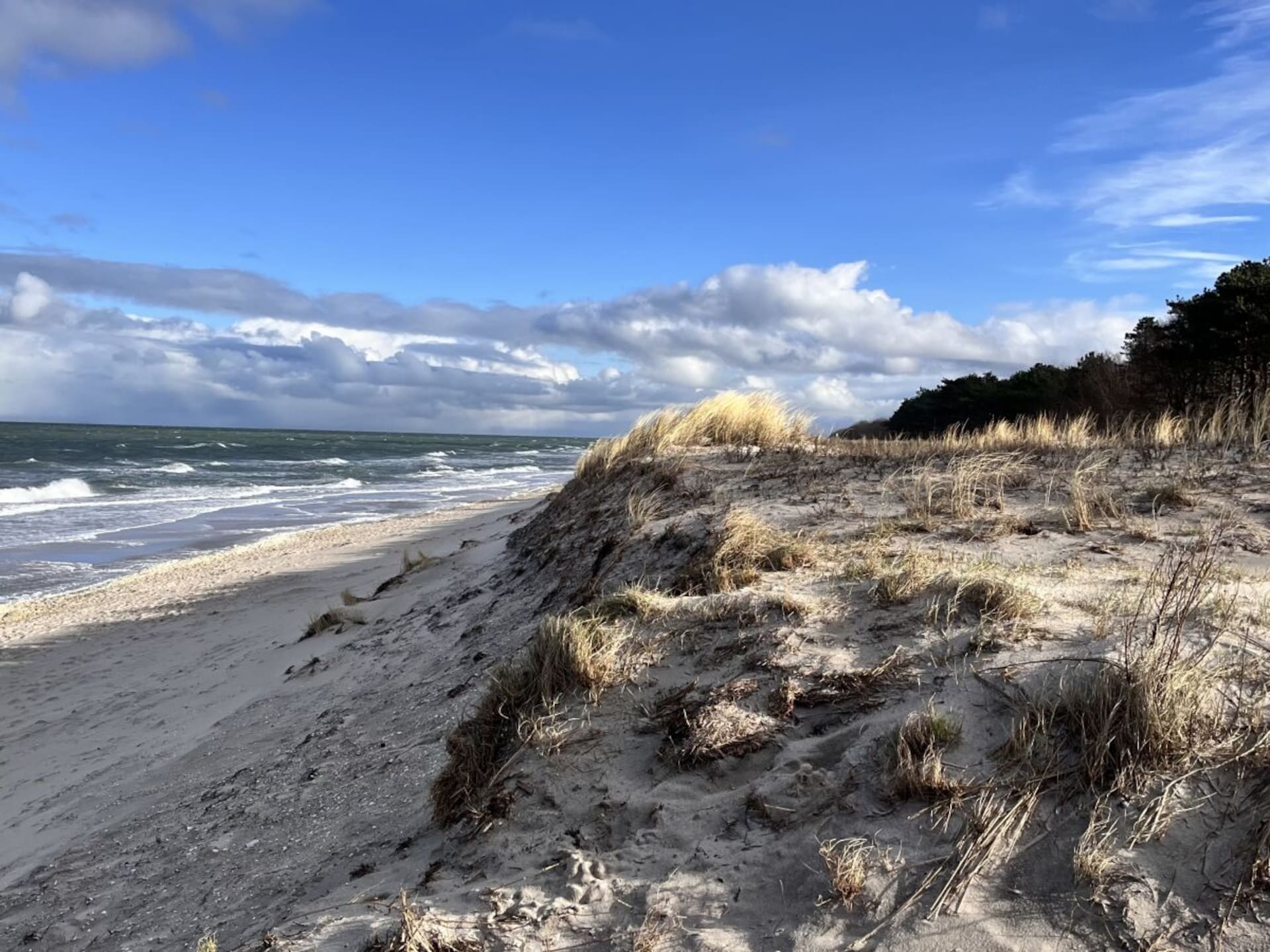 Modern appartement bij het strand met terras en open haard in Zingst - foto 8