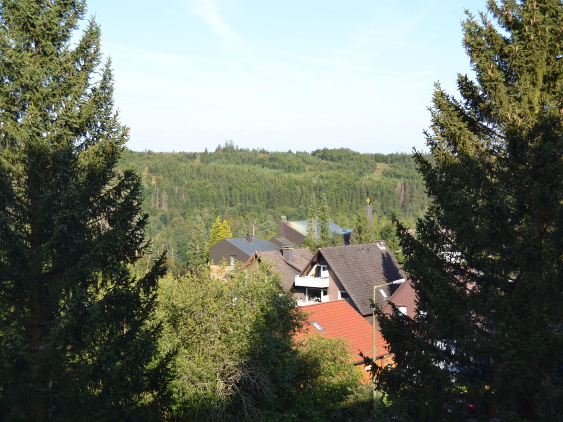Knus appartement in Altenau met balkon en uitzicht op de Harz - foto 2