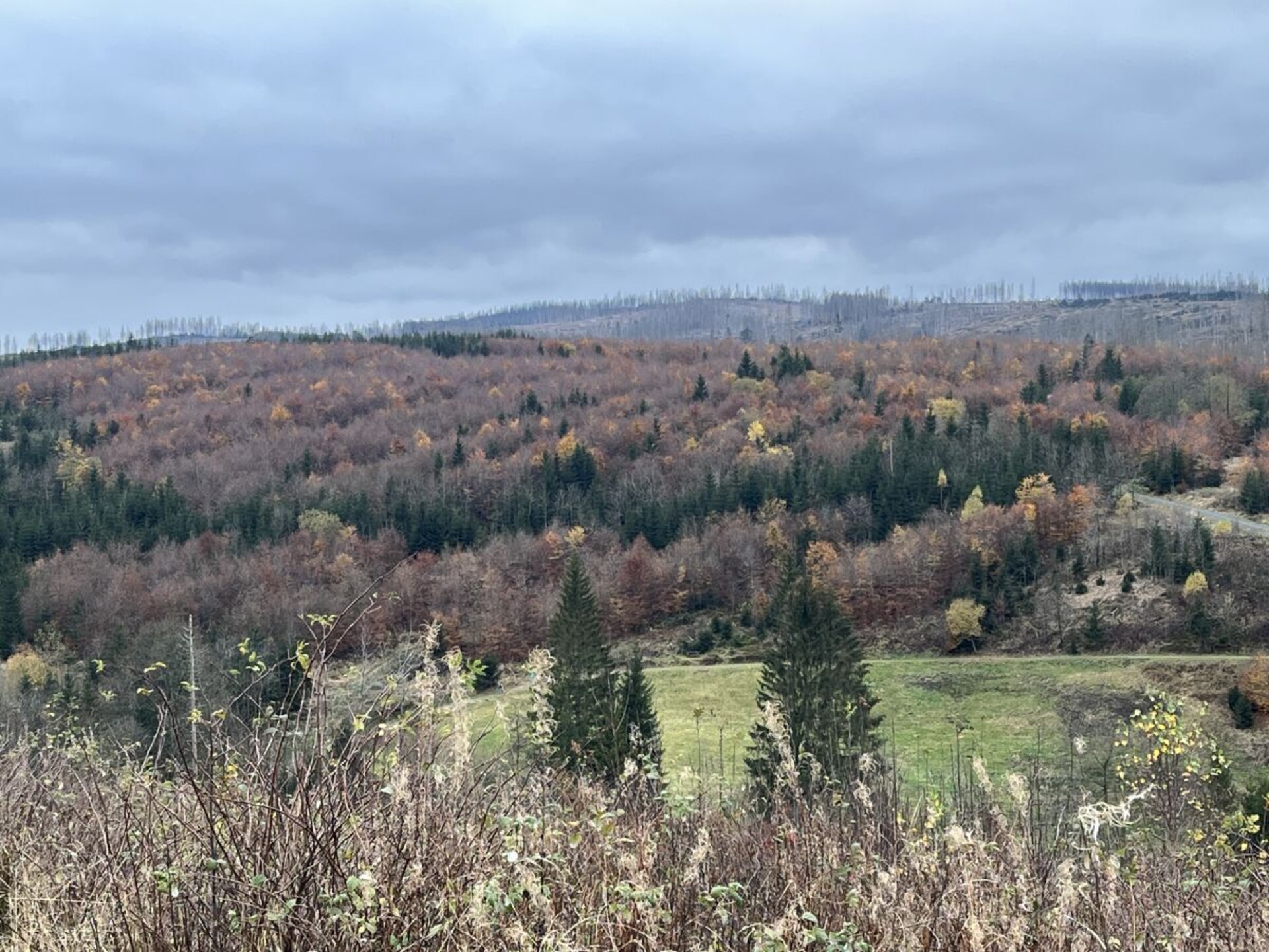 Knus appartement in Altenau met balkon en uitzicht op de Harz - foto 16