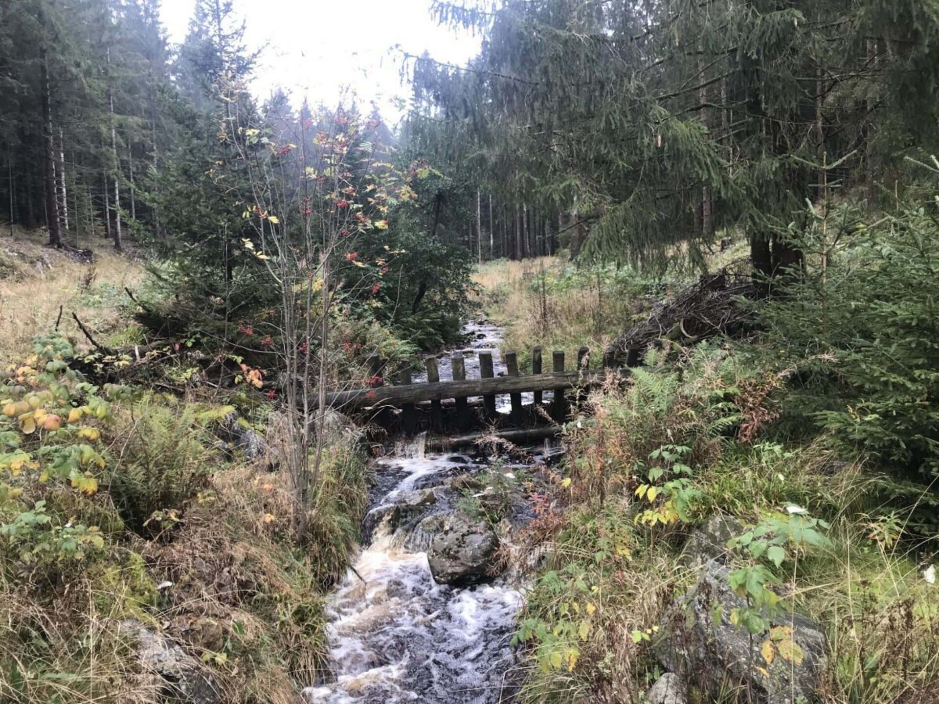 Knus appartement in Altenau met balkon en uitzicht op de Harz - foto 17