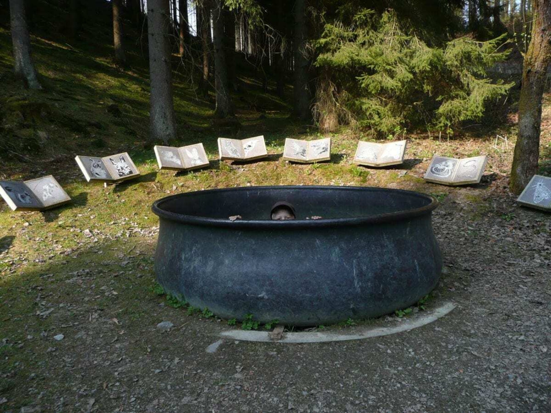 Comfortabel 4-sterren vakantiehuis in hartje Sauerland voor 9 personen - foto 16