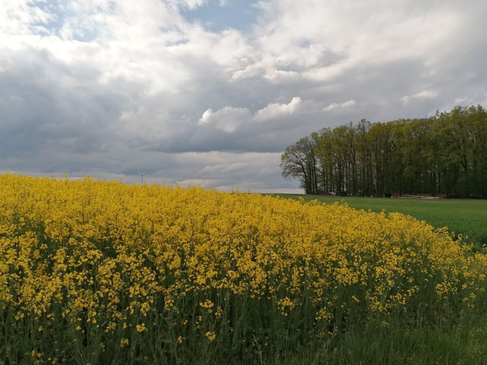 Ruim appartement in Freudenbach met terras, vlakbij Creglingen - foto 27