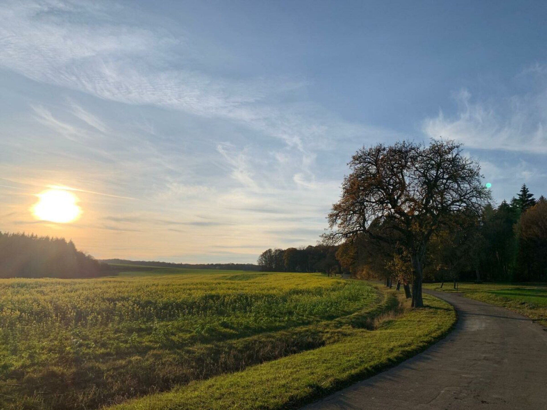 Ruim appartement in Freudenbach met terras, vlakbij Creglingen - foto 36