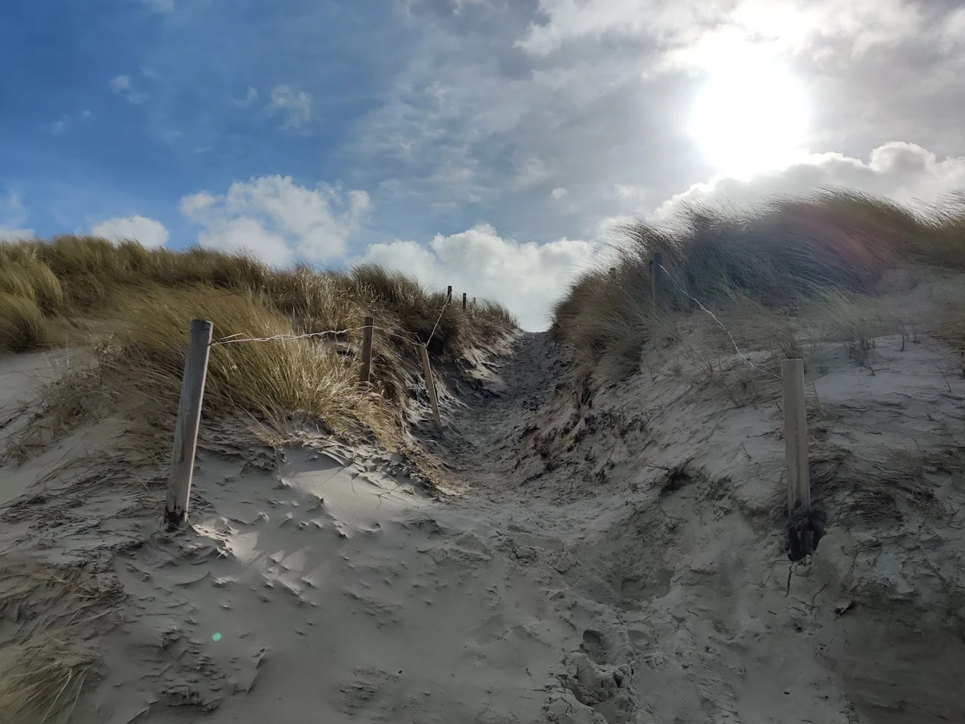 Op 1,0 km van het centrum: Rustgevend appartement aan zee in Dierhagen - foto 22