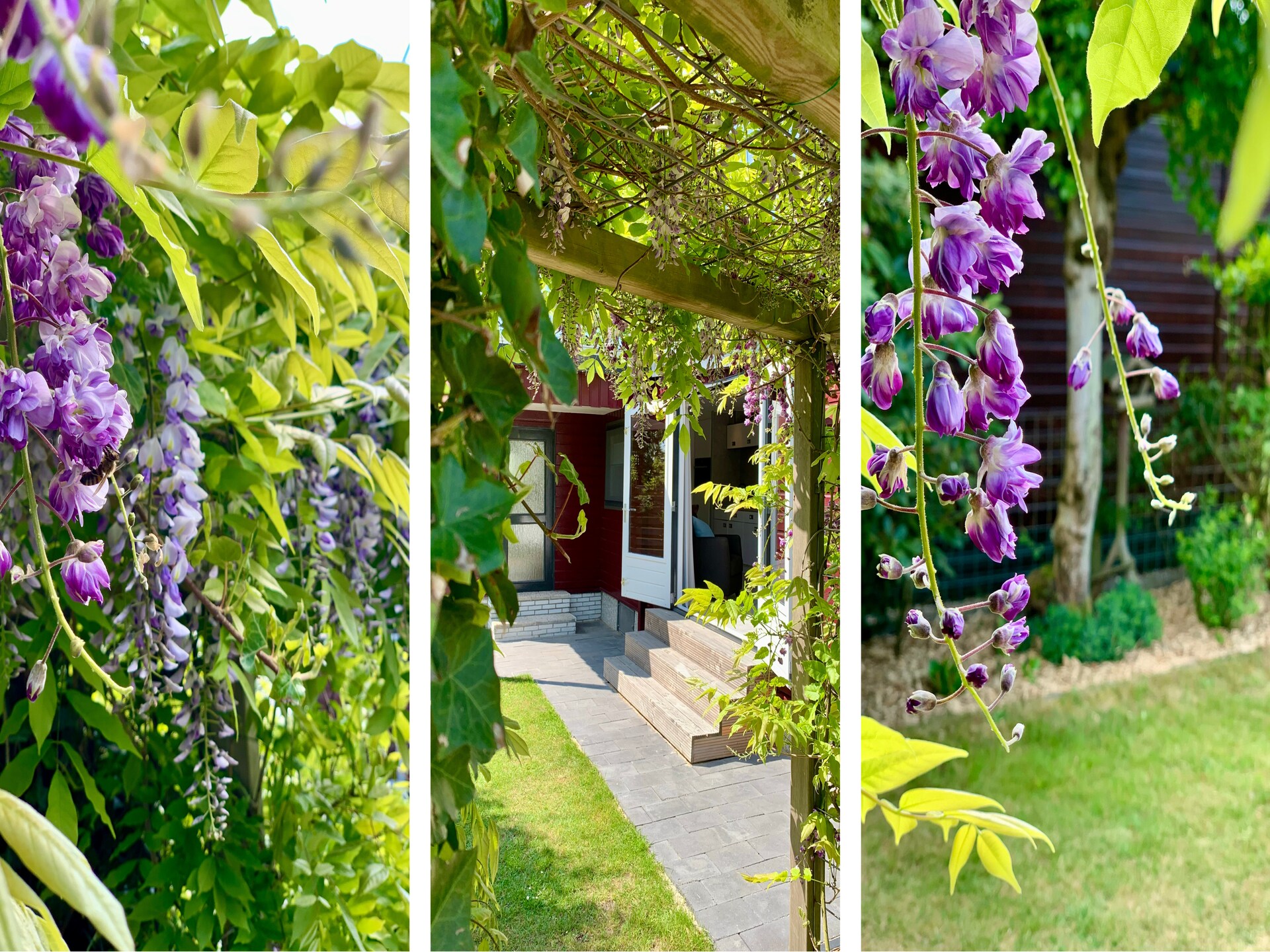 Campanula 211: Gerenoveerd vakantiehuis met omheinde tuin bij Sint Maartenszee - foto 13