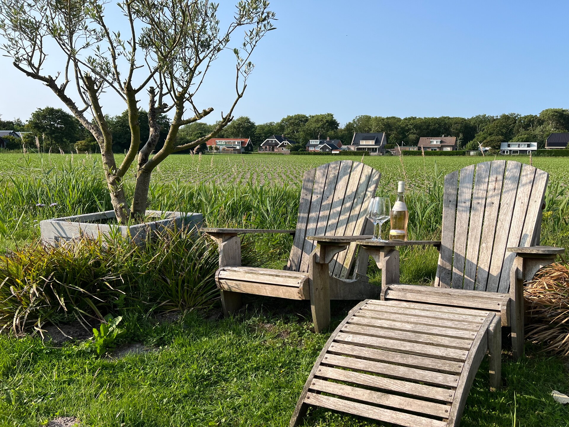 Eureka 103: Luxe vrijstaande bungalow aan de rand van park Eureka - foto 26