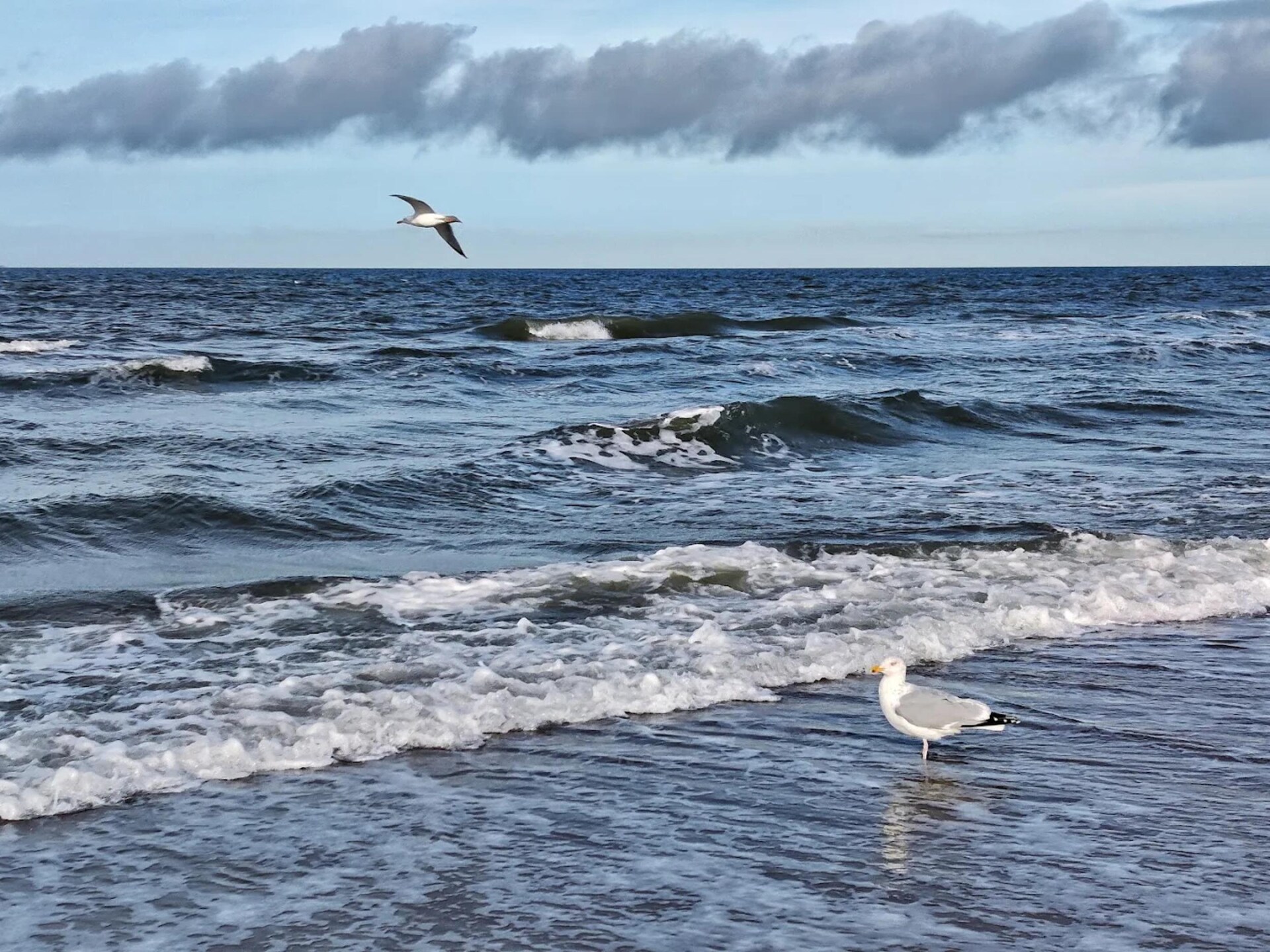 Rietgedekt vakantiehuis op 100 meter van het strand in Dierhagen - foto 28