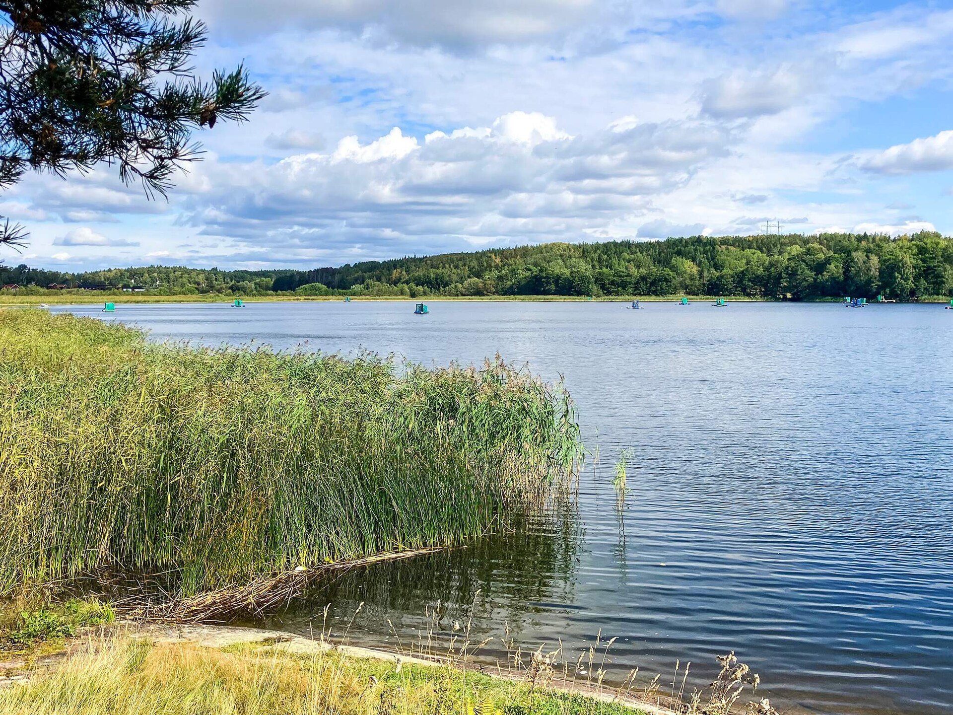 Sprookjesachtige blokhut aan het Fjäturenmeer met roeiboot, vlakbij Stockholm - foto 12