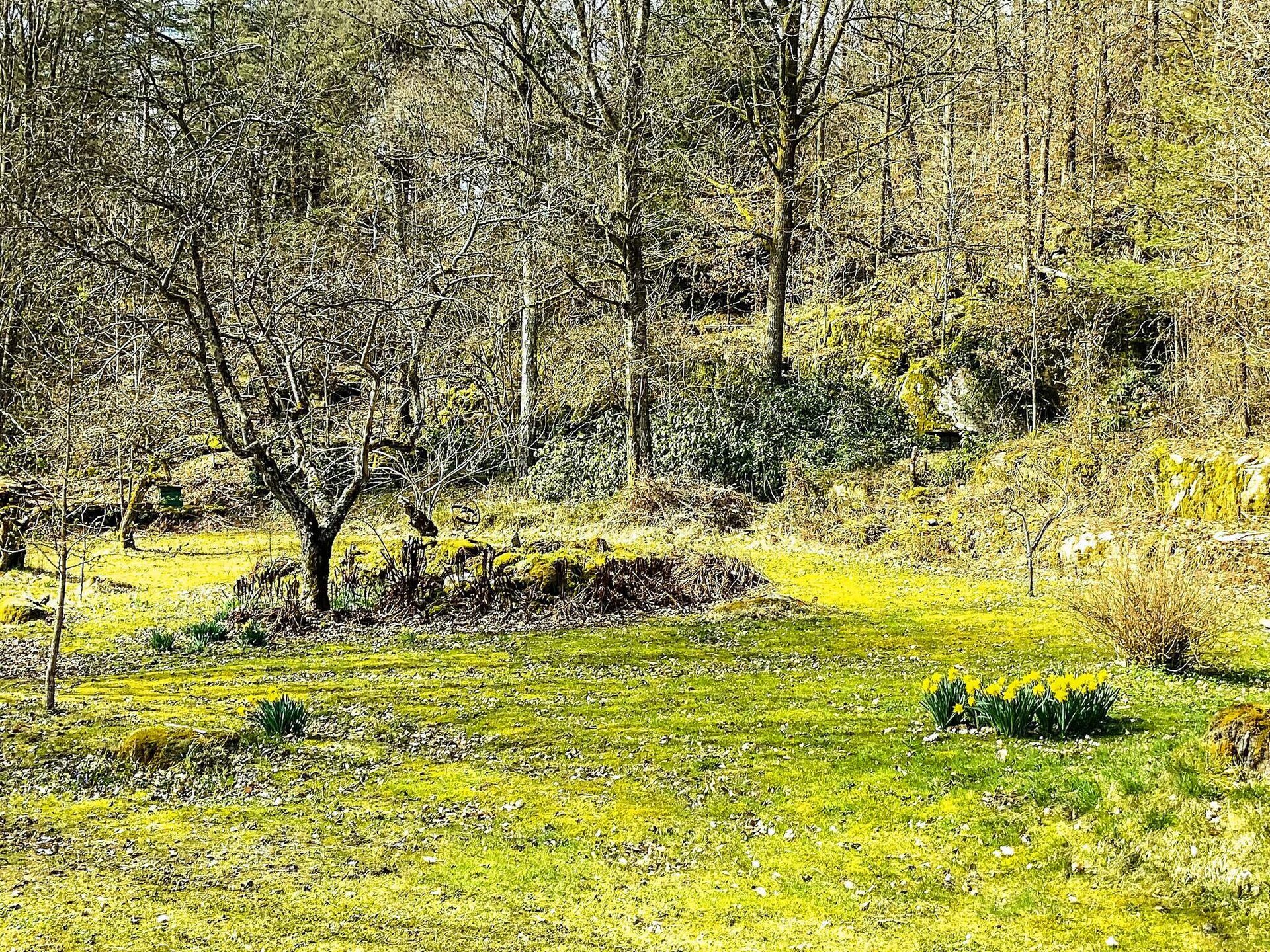 Klassiek Zweeds vakantiehuis bij meer Fävren, golfbaan en natuur - foto 8