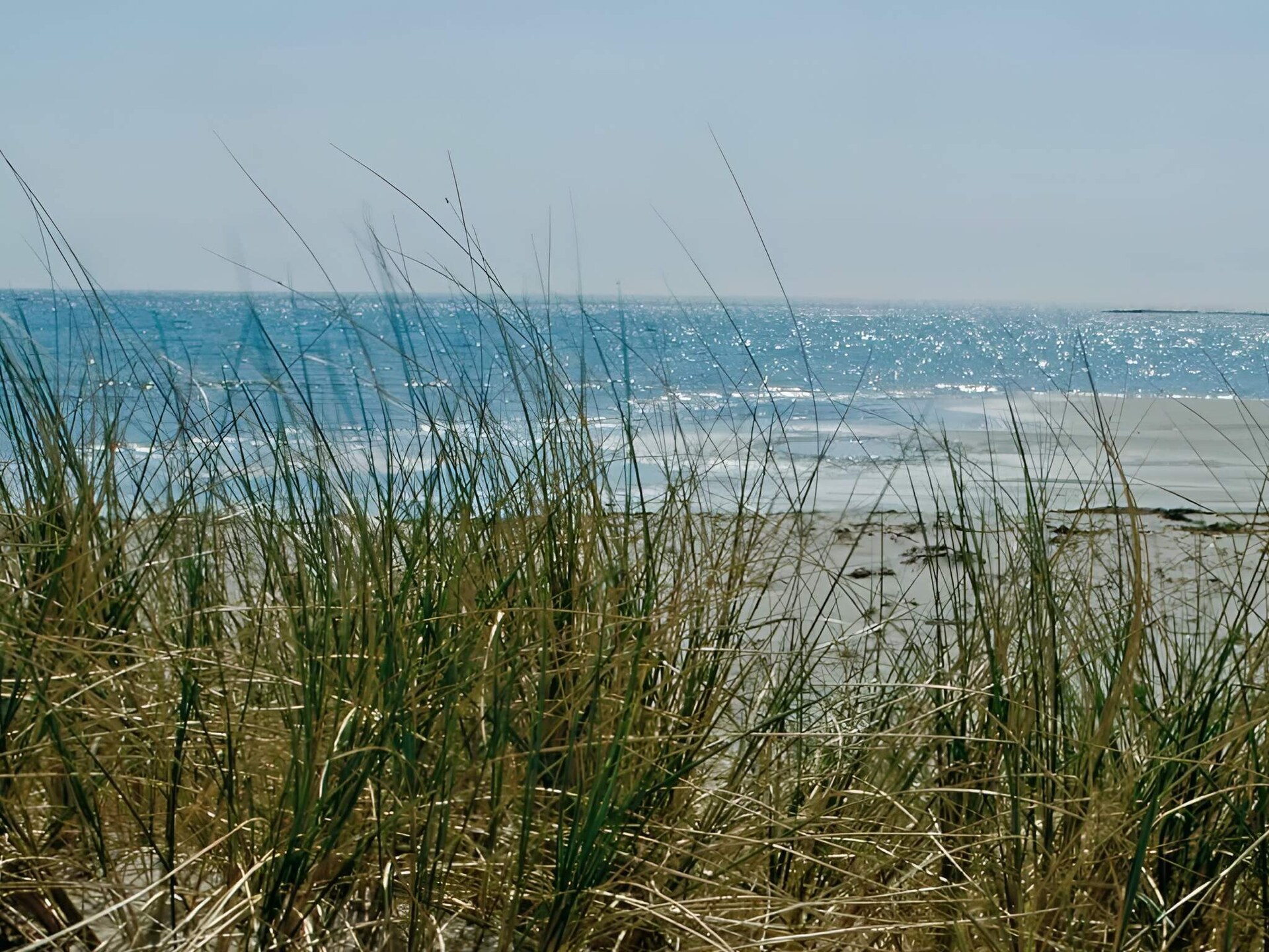Vrijstaand vakantiehuis aan de golfbaan bij het strand van Åsa - foto 18