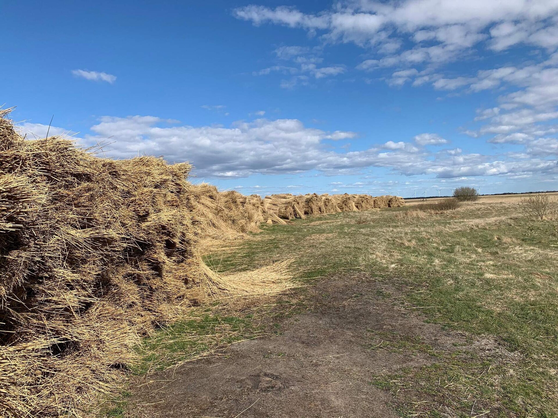 Knus vrijstaand vakantiehuis bij Hemmet, op 800 meter van de zee - foto 4