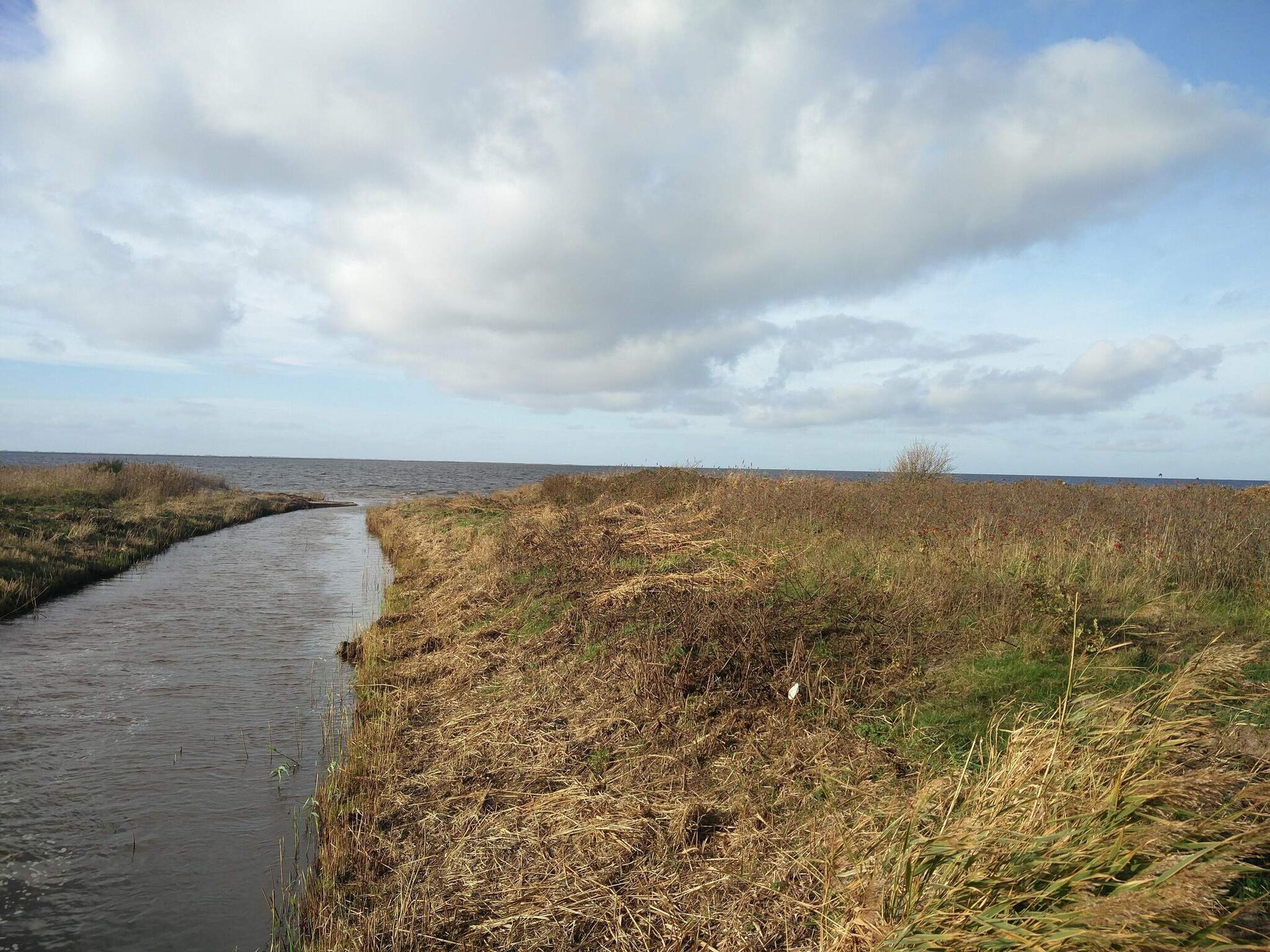 Knus vrijstaand vakantiehuis bij Hemmet, op 800 meter van de zee - foto 9