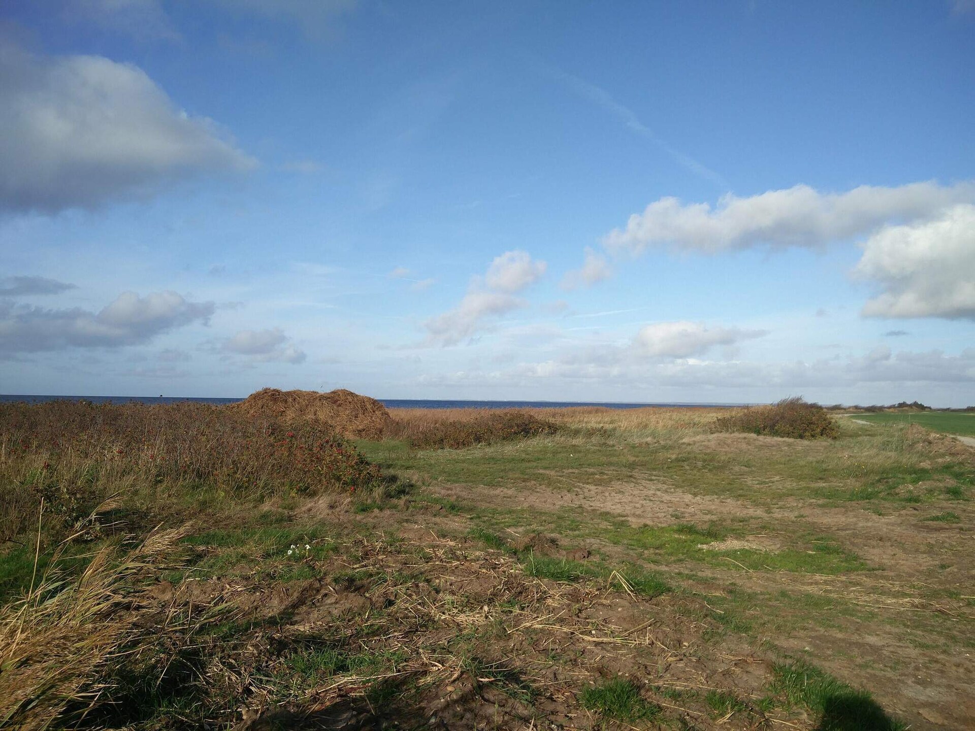 Knus vrijstaand vakantiehuis bij Hemmet, op 800 meter van de zee - foto 13