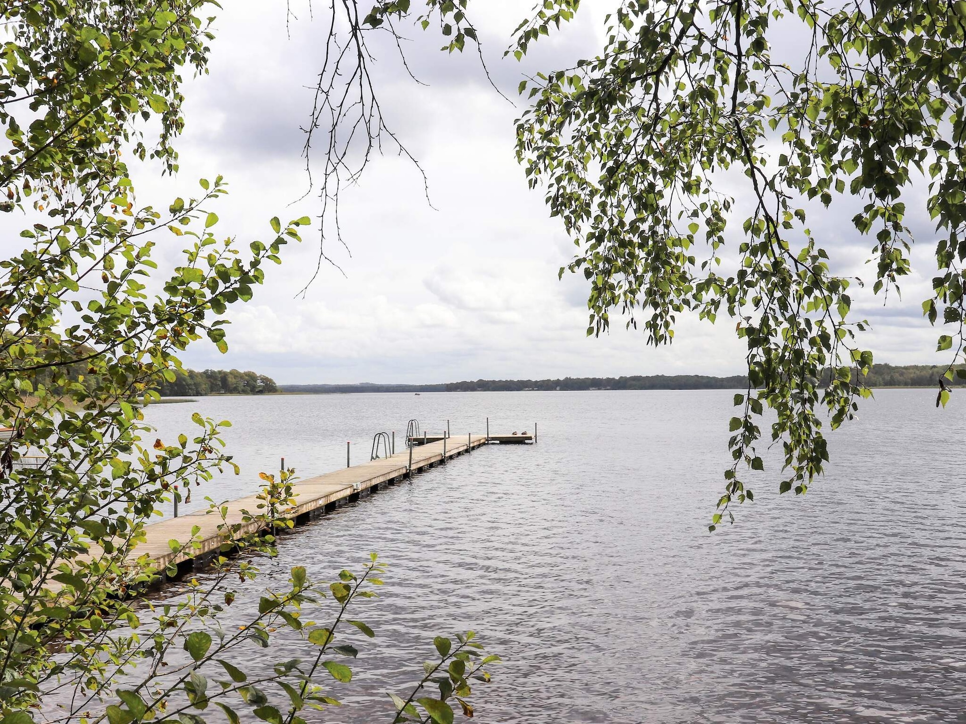 Bosrijke oase aan de golfbaan met zwemmeer nabij Hjärnarp - foto 30