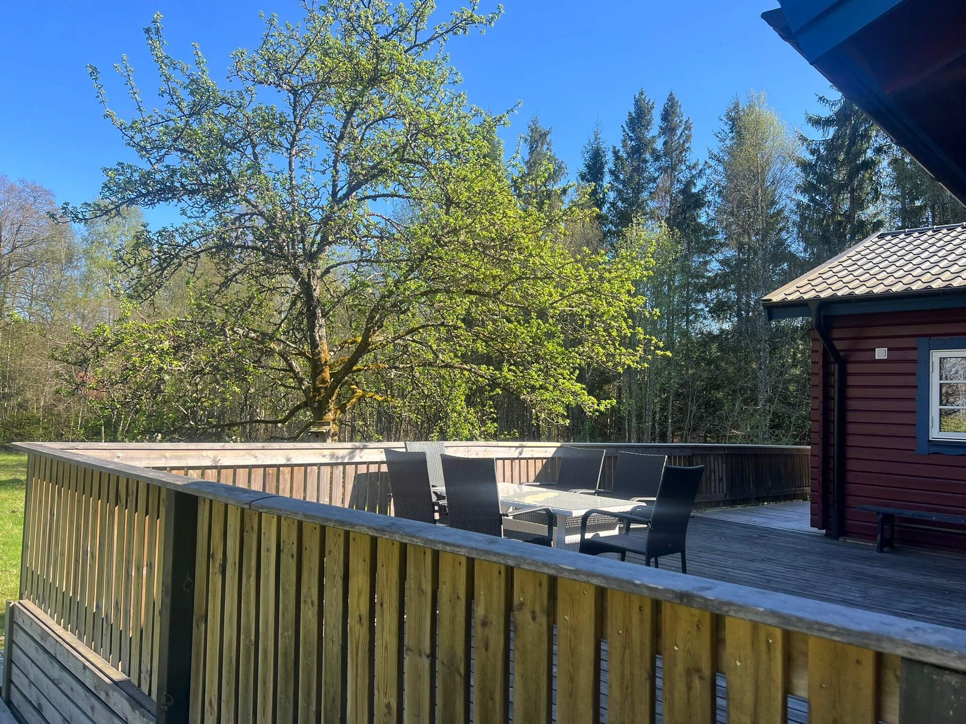 Vrijstaand vakantiehuis aan het Bolmenmeer met eigen strandje - foto 3