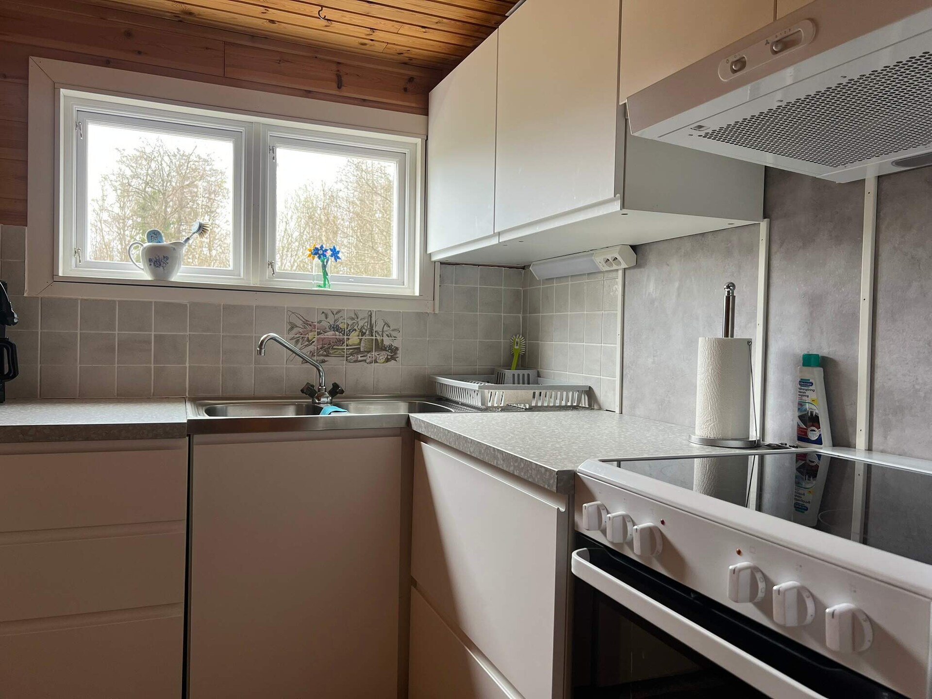 Vrijstaand vakantiehuis aan het Bolmenmeer met eigen strandje - foto 16