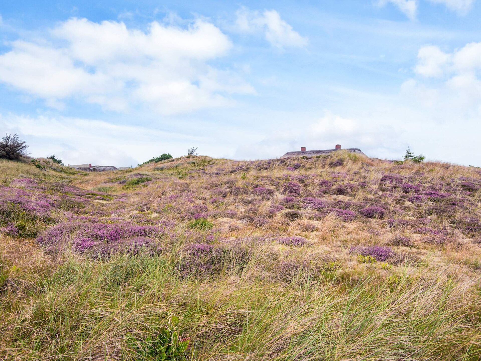 Luxe vakantiehuis met duinpanorama op 350m van de Noordzee, Ulfborg - foto 35