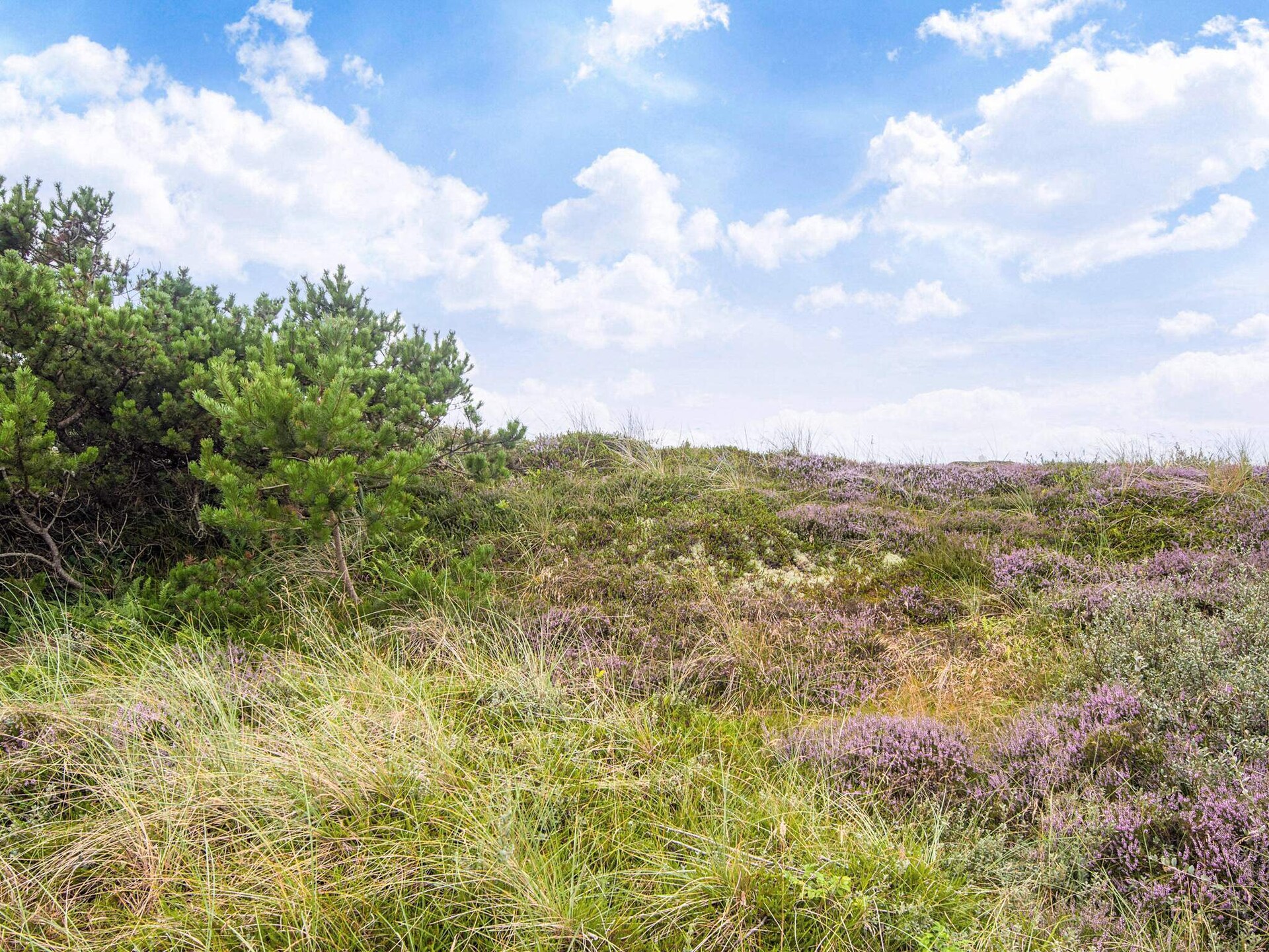 Luxe vakantiehuis met duinpanorama op 350m van de Noordzee, Ulfborg - foto 36