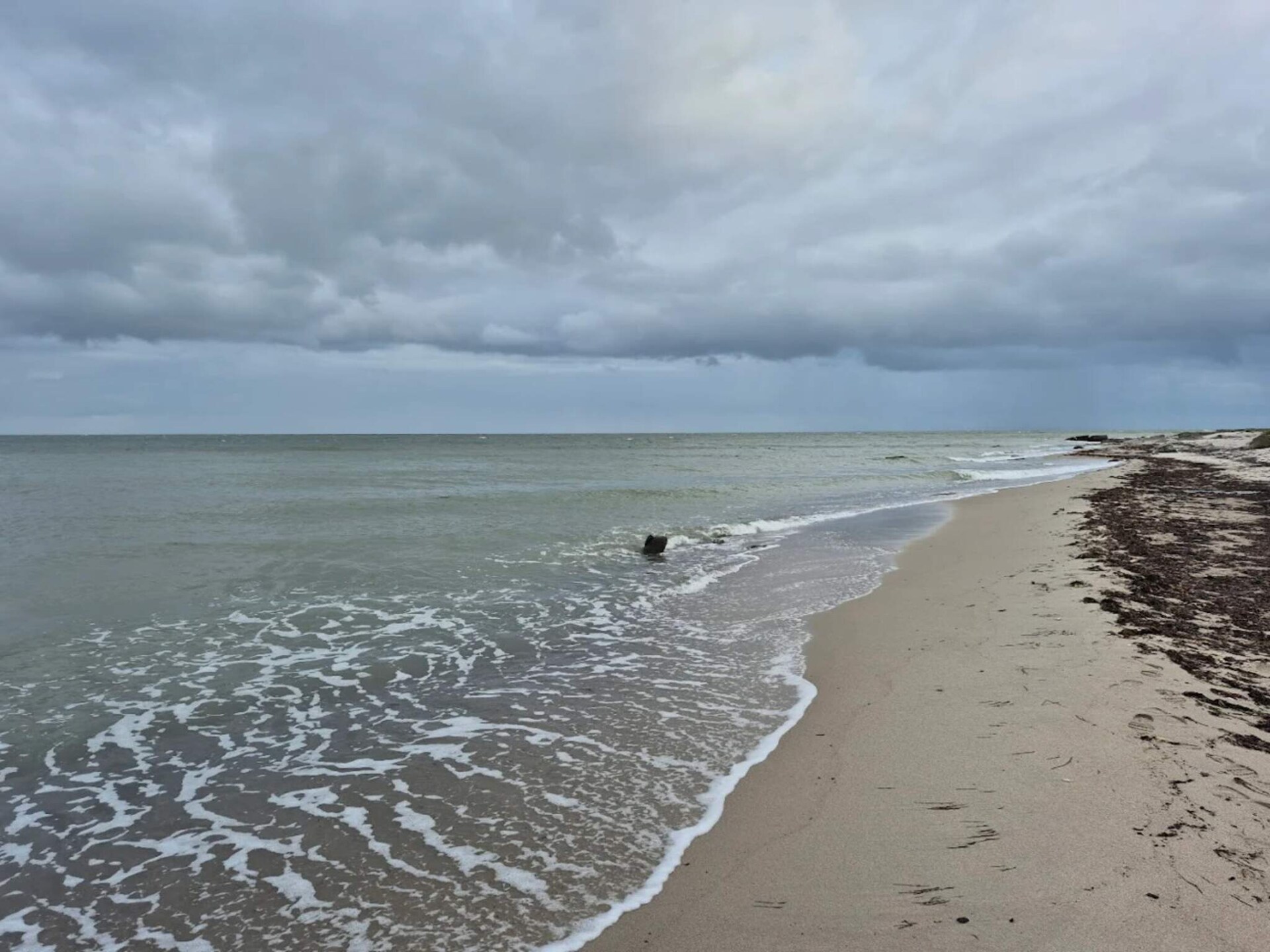 Houten vakantiehuis bij Marielyst, zee op 450 meter en golfbaan nabij - foto 12