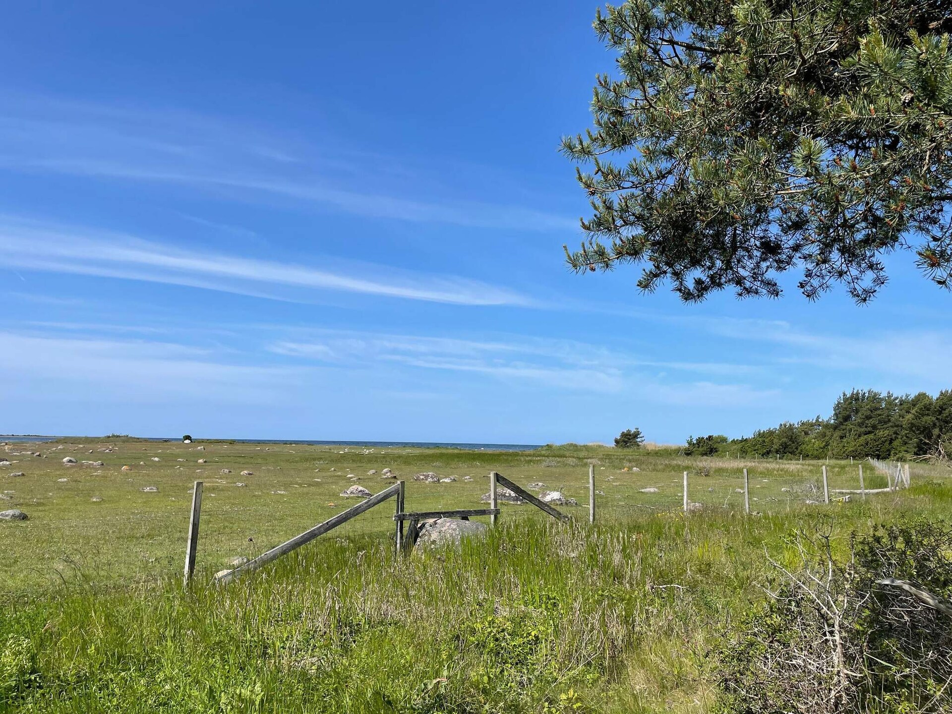 Zomeridyllisch vakantiehuis met zeezicht bij zandstrand Björkhaga - foto 7