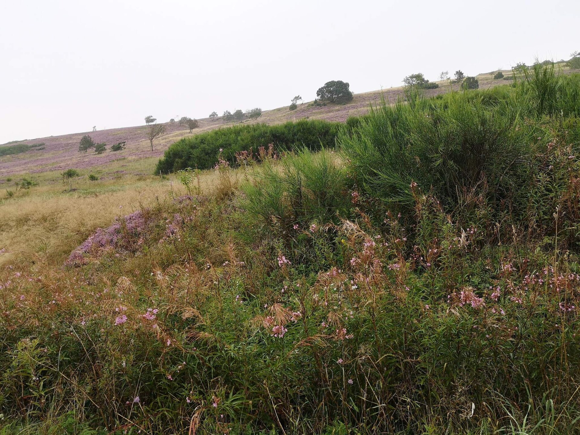 6-persoons vakantiehuis in Farsø nabij het meer - foto 10