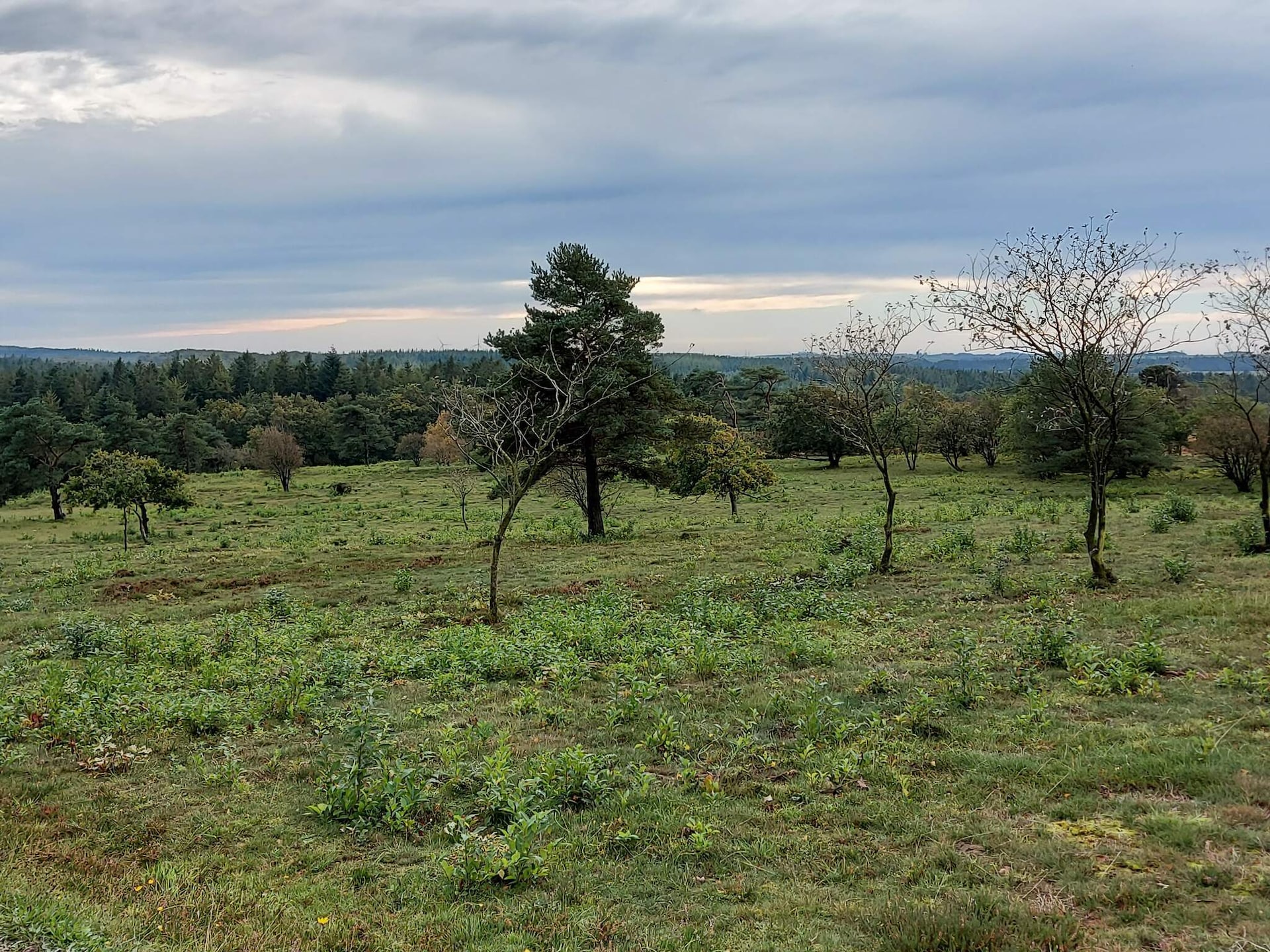 6-persoons vakantiehuis in Farsø nabij het meer - foto 11