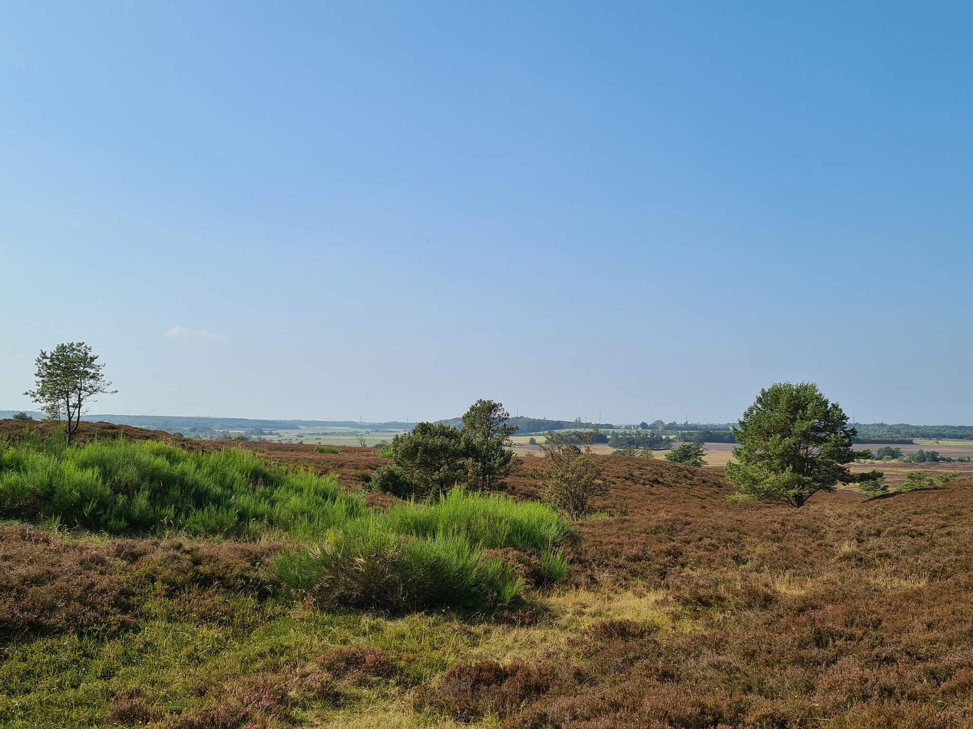 6-persoons vakantiehuis in Farsø nabij het meer - foto 14