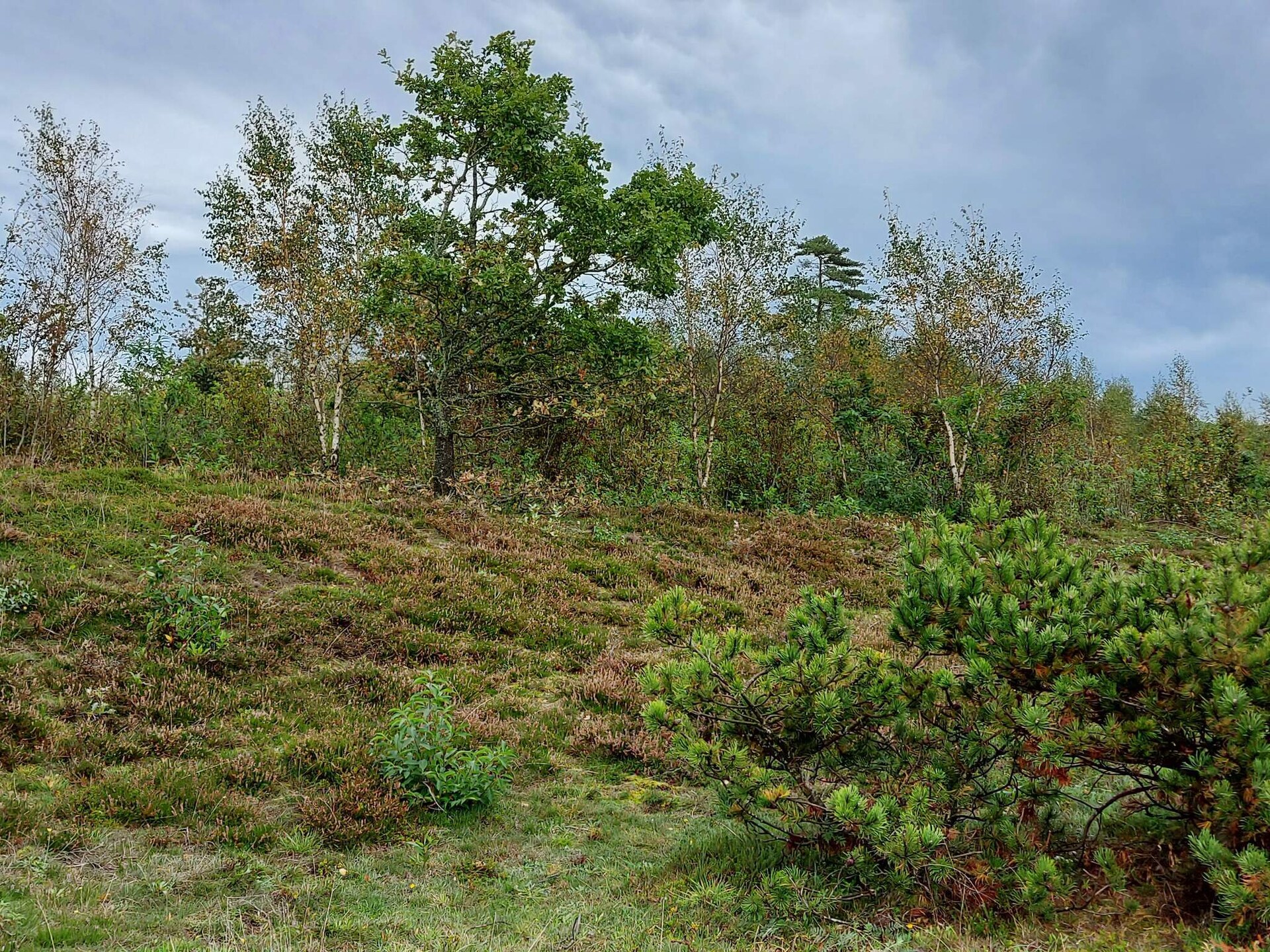 6-persoons vakantiehuis in Farsø nabij het meer - foto 17