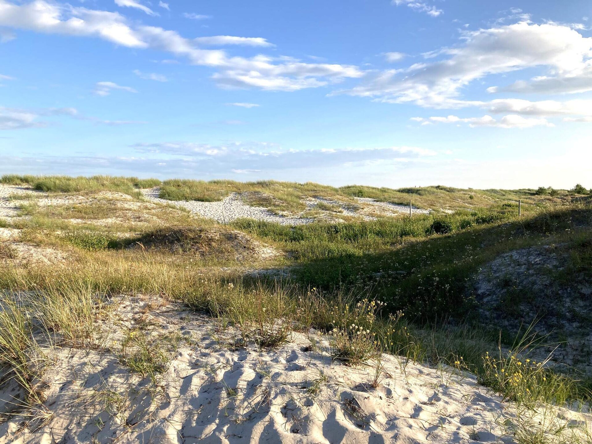 Vrijstaand vakantiehuis aan de golfbaan bij Köpingebro, op 2 km van zee - foto 7