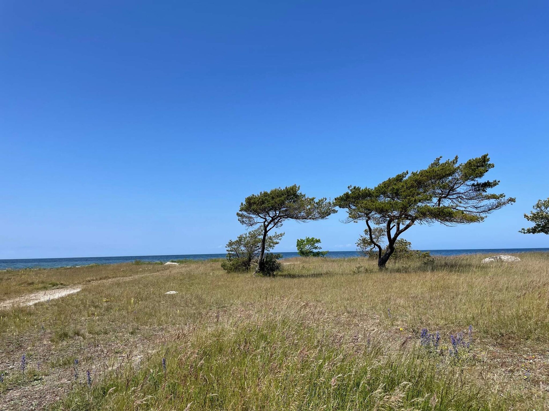 Vakantiehuis aan zee in Visby met uitzicht en balkon - foto 13