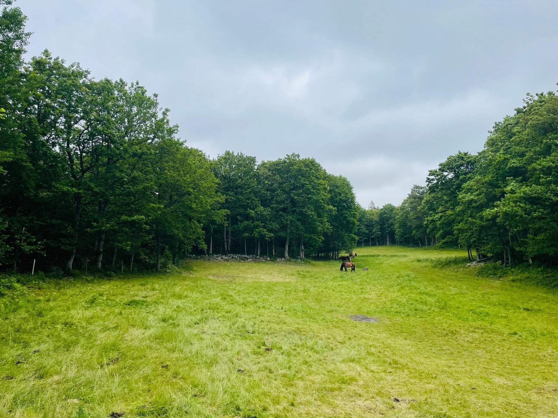 Vrijstaand vakantiehuis aan de golfbaan bij Nösund, Orust - foto 8