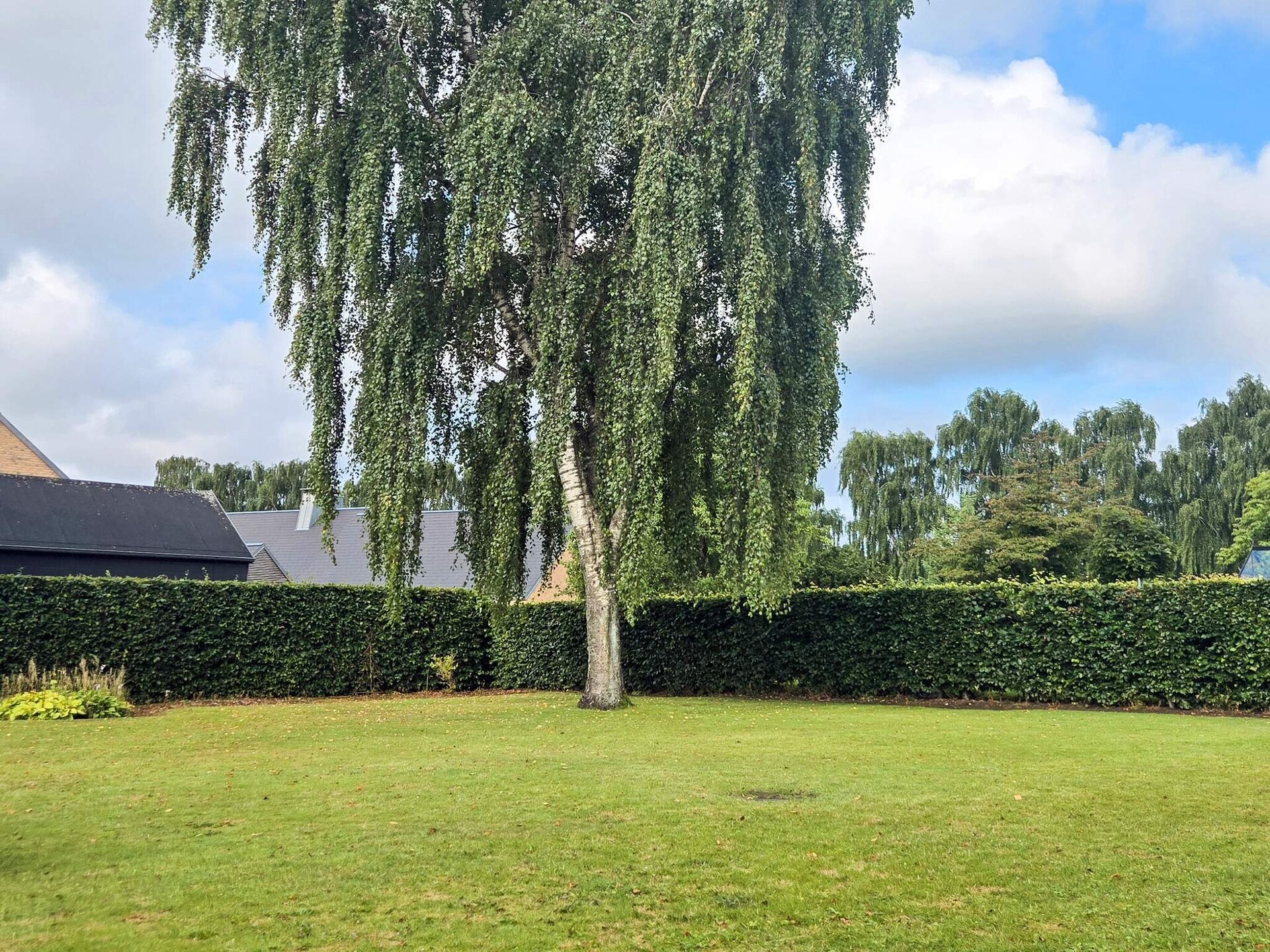Vrijstaand vakantiehuis voor 6 in Ansager, dichtbij meer - foto 3
