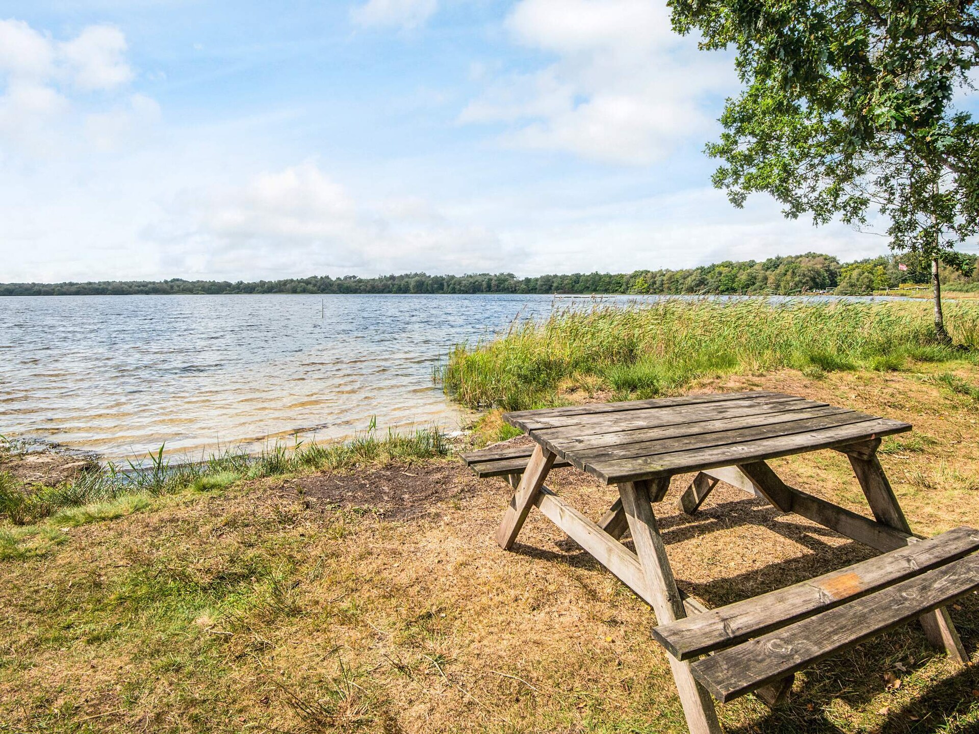 Vrijstaand vakantiehuis voor 6 in Ansager, dichtbij meer - foto 10